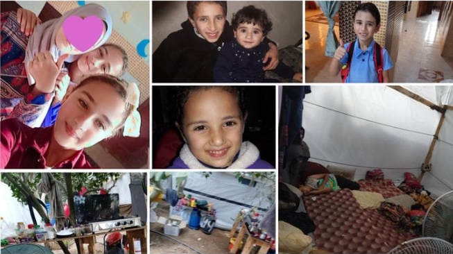 User-uploaded image 1