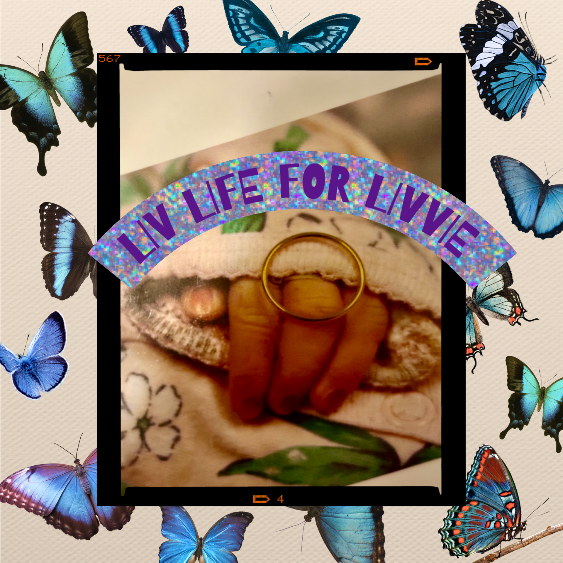 Donate to LIV LIFE FOR LIVVIE & babies who never came home campaign photo, 4 of 8