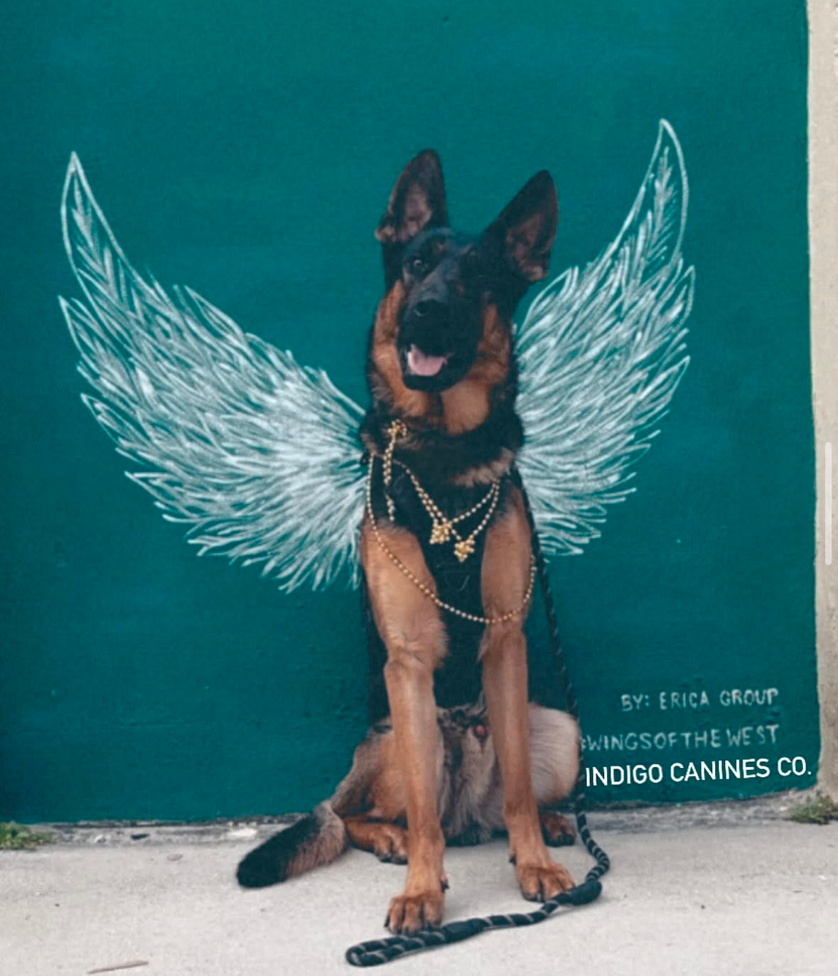 Alyce's Service Dog Fundraiser campaign photo, 4 of 7