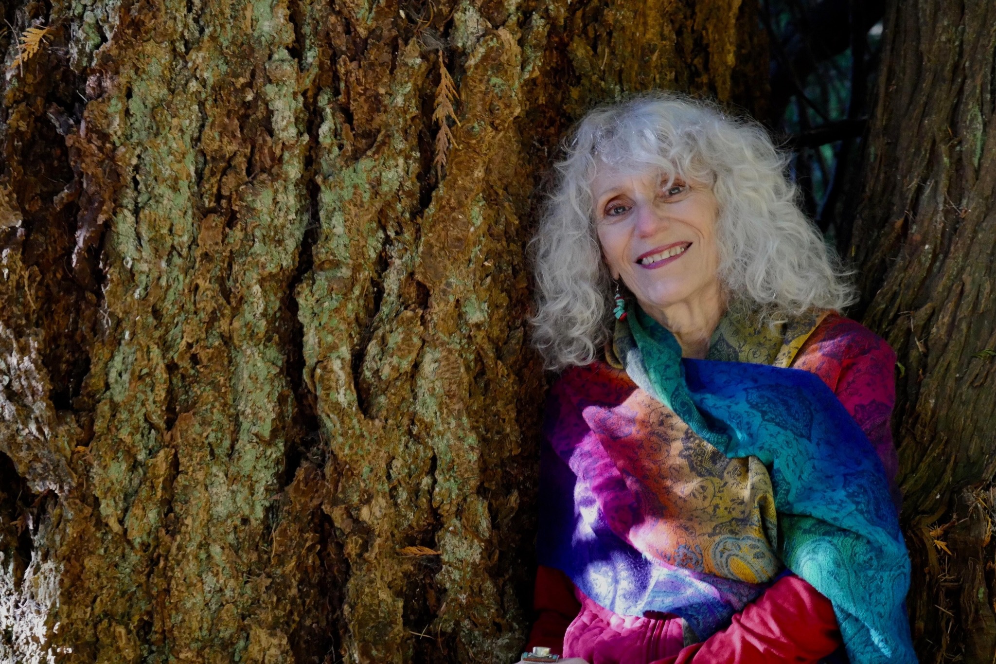 ️ Support for What Comes Next As Junie Enters Hospice campaign photo, 2 of 4