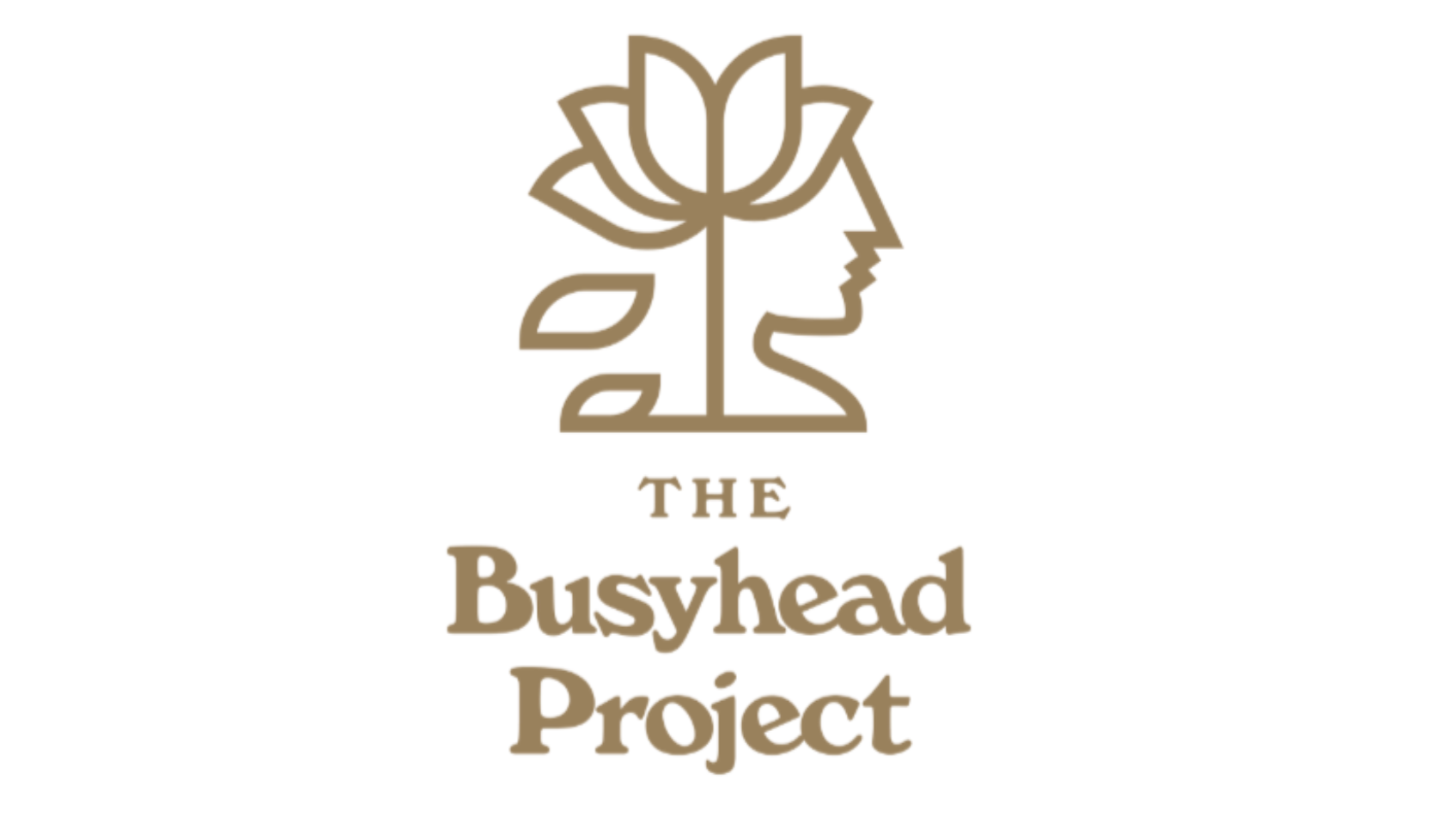 The Busyhead Project photo