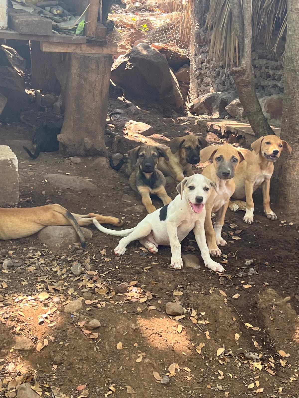 User-uploaded image 1