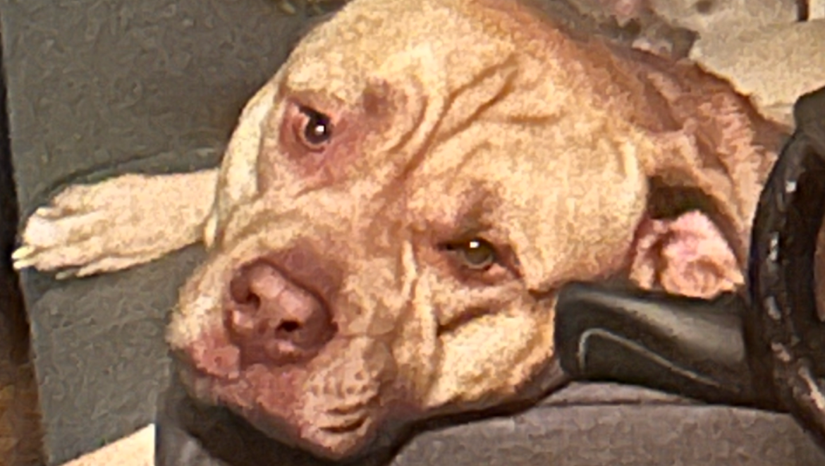 please help. pinned link photo