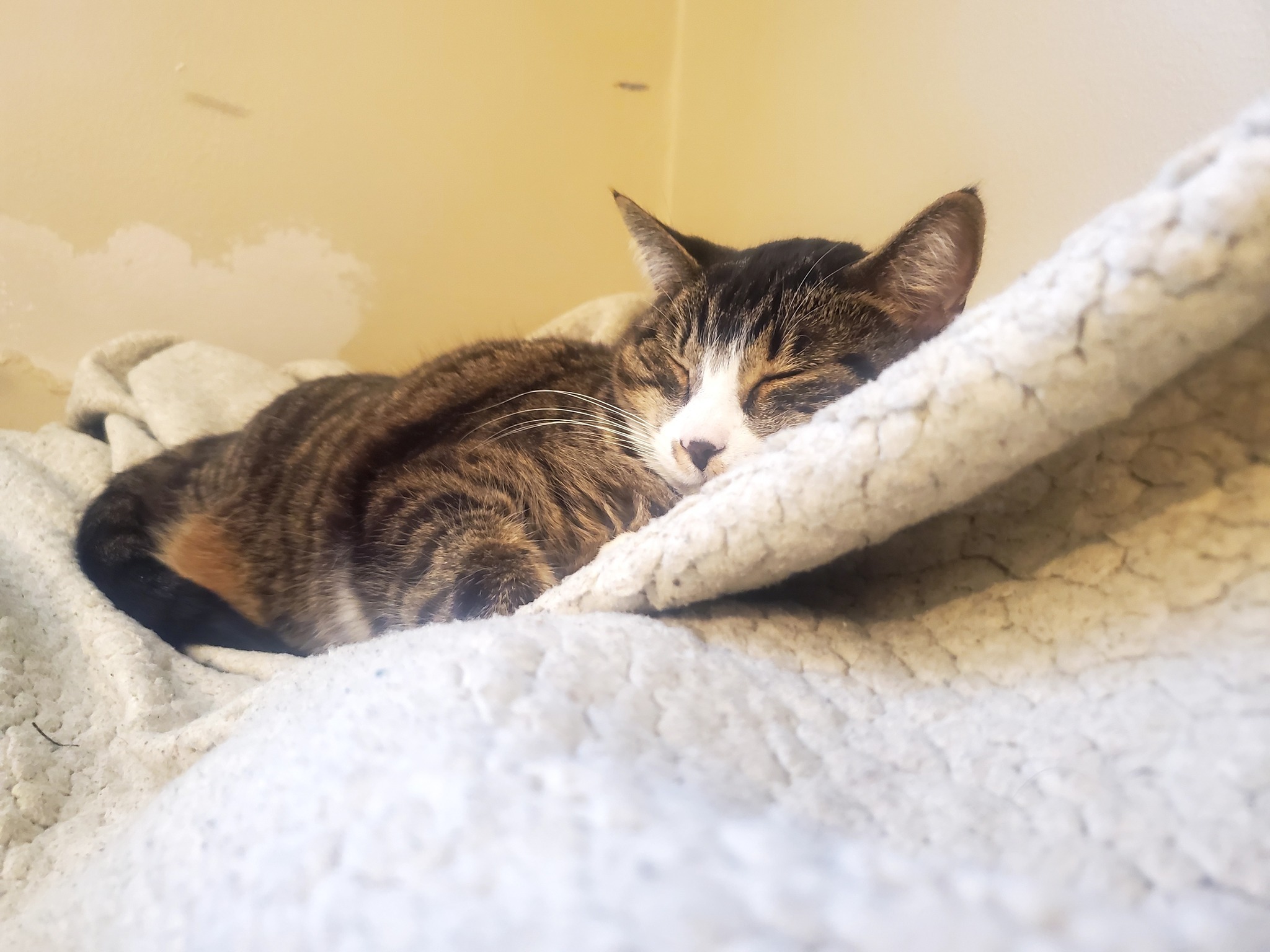 User-uploaded image 1