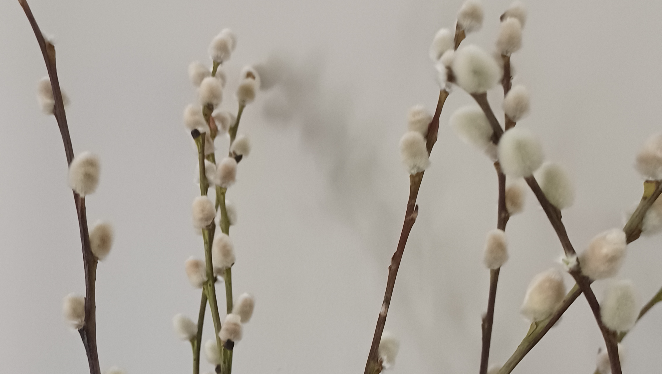 Join the Effort to Ease Financial Strain photo