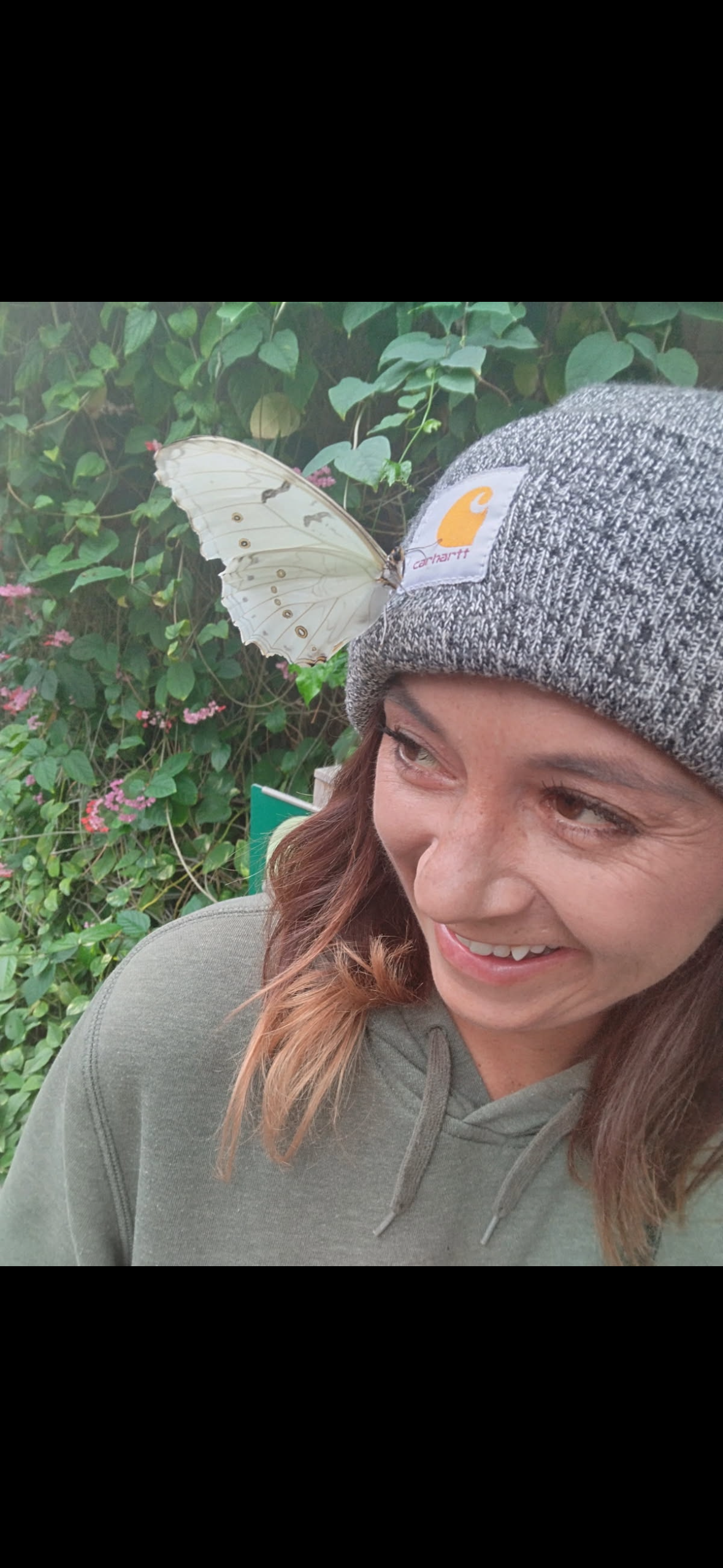 User-uploaded image 1