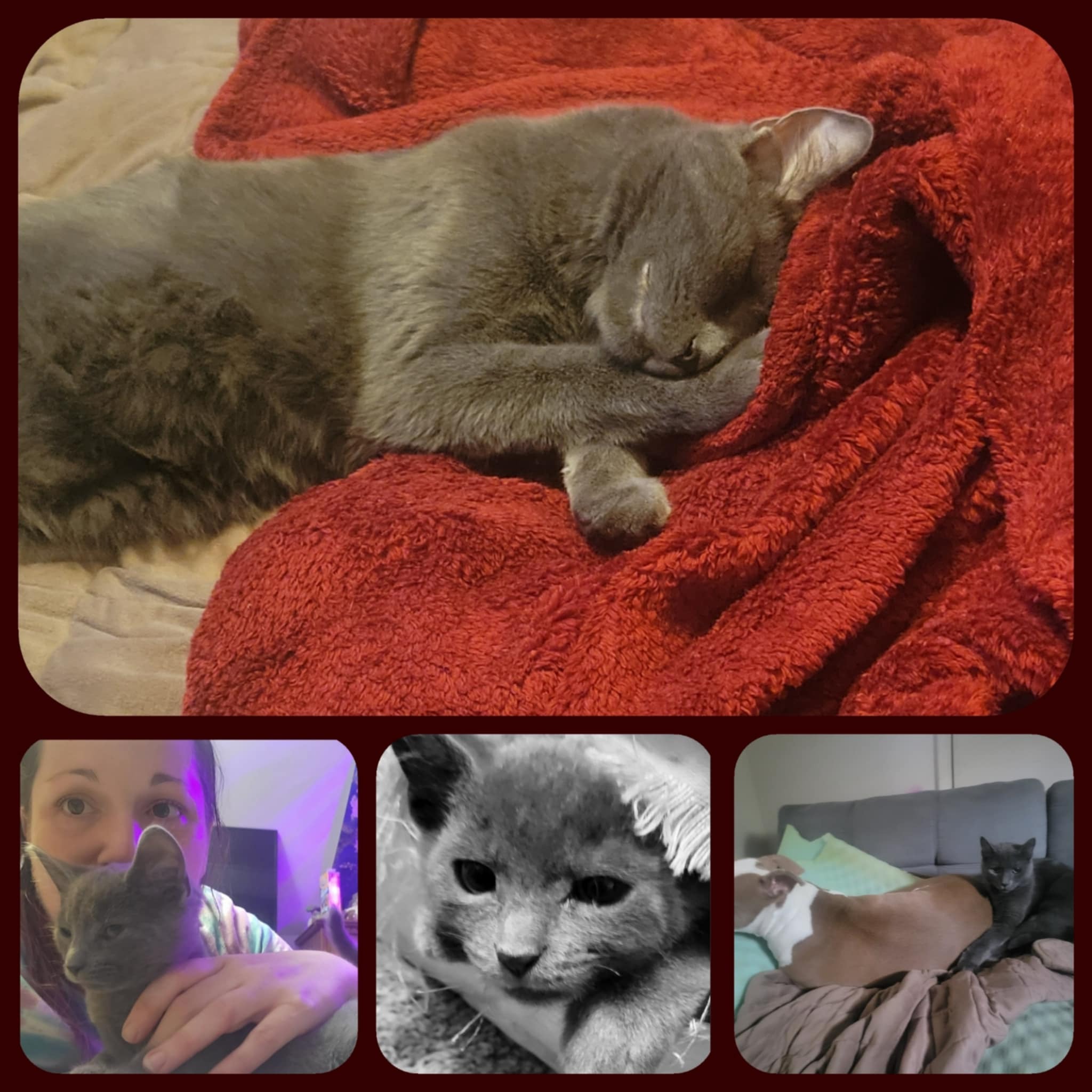 User-uploaded image 1