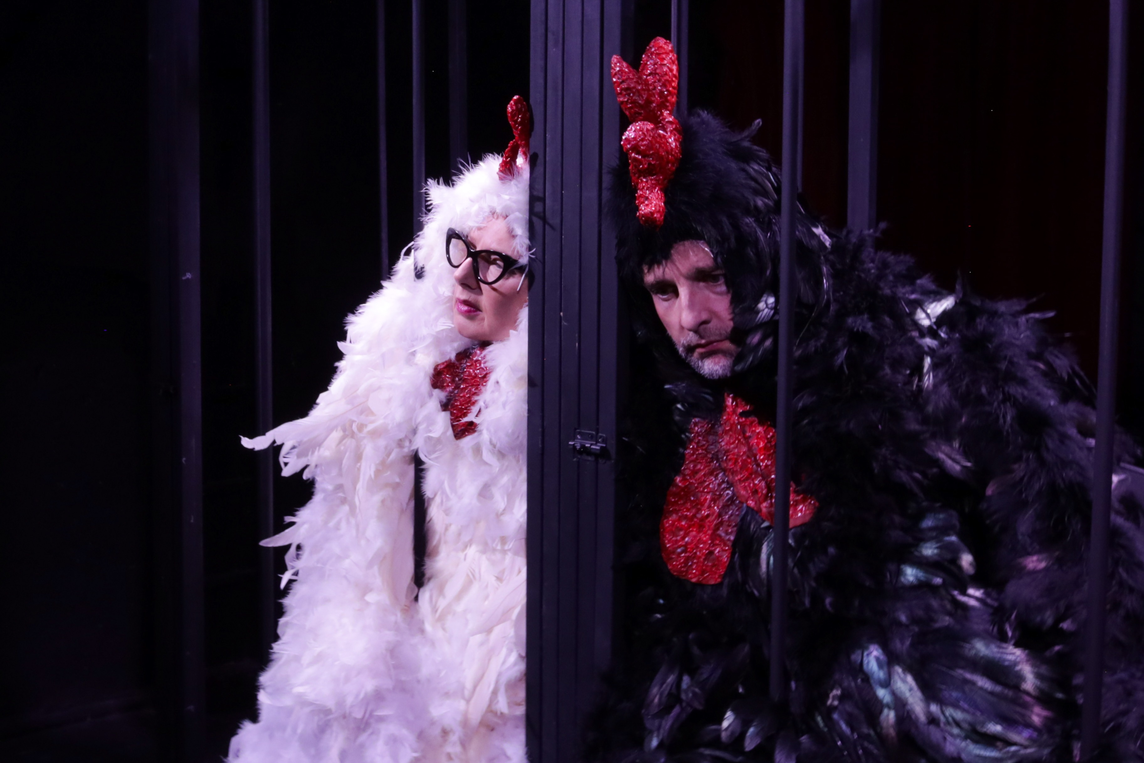 Why Did Three Chickens Cross the Pond? campaign photo, 4 of 8
