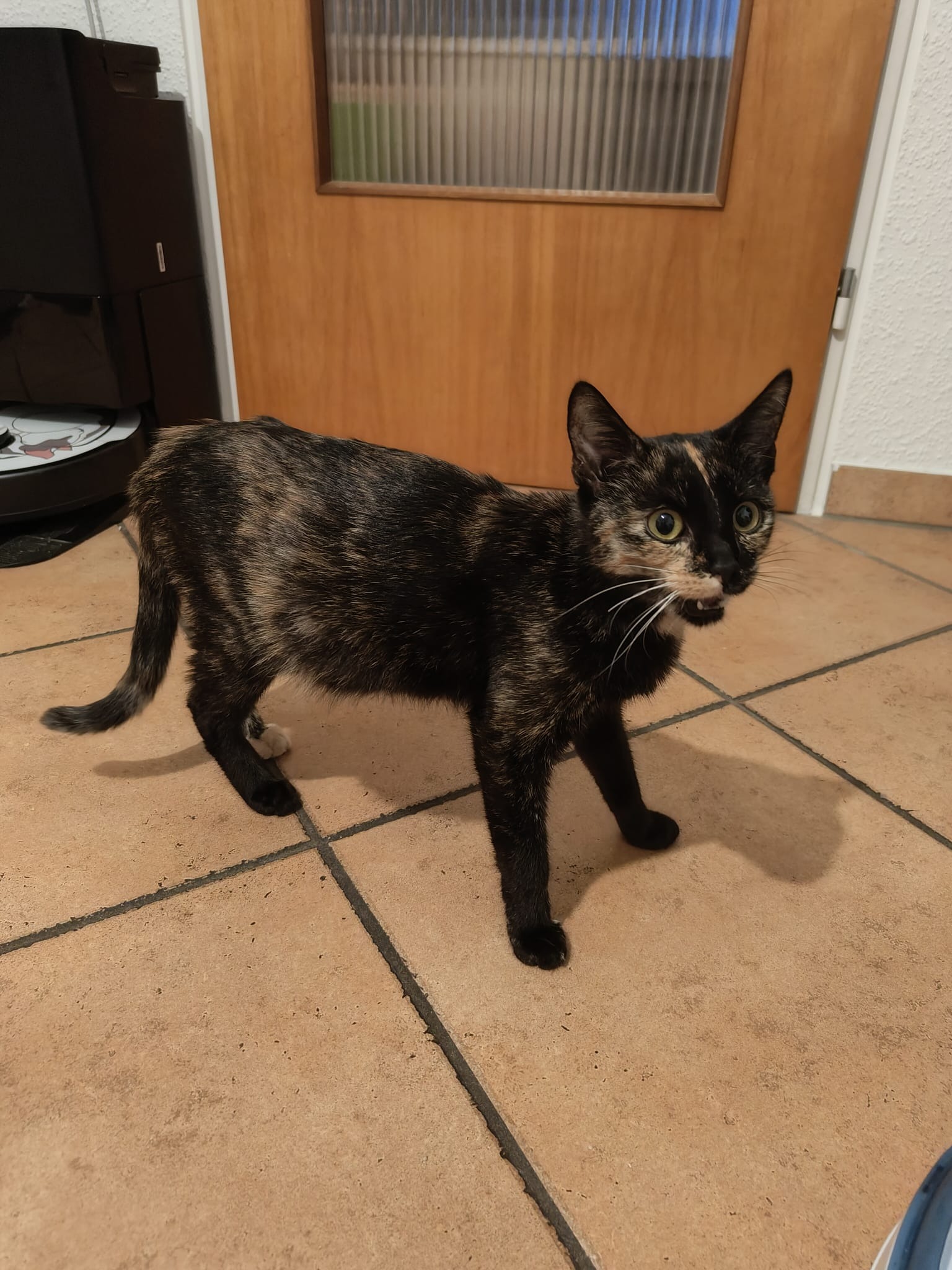 User-uploaded image 1