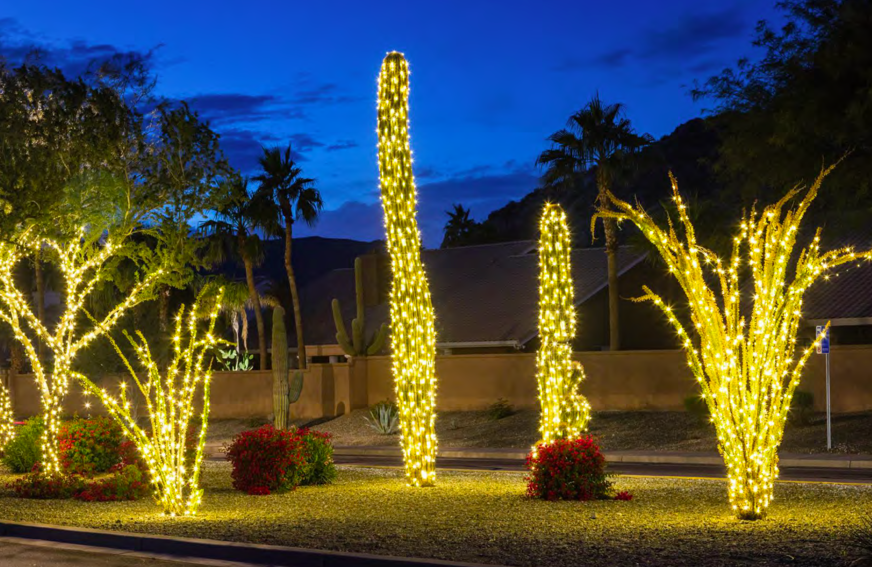 Foothills Holiday Lights campaign photo, 2 of 4