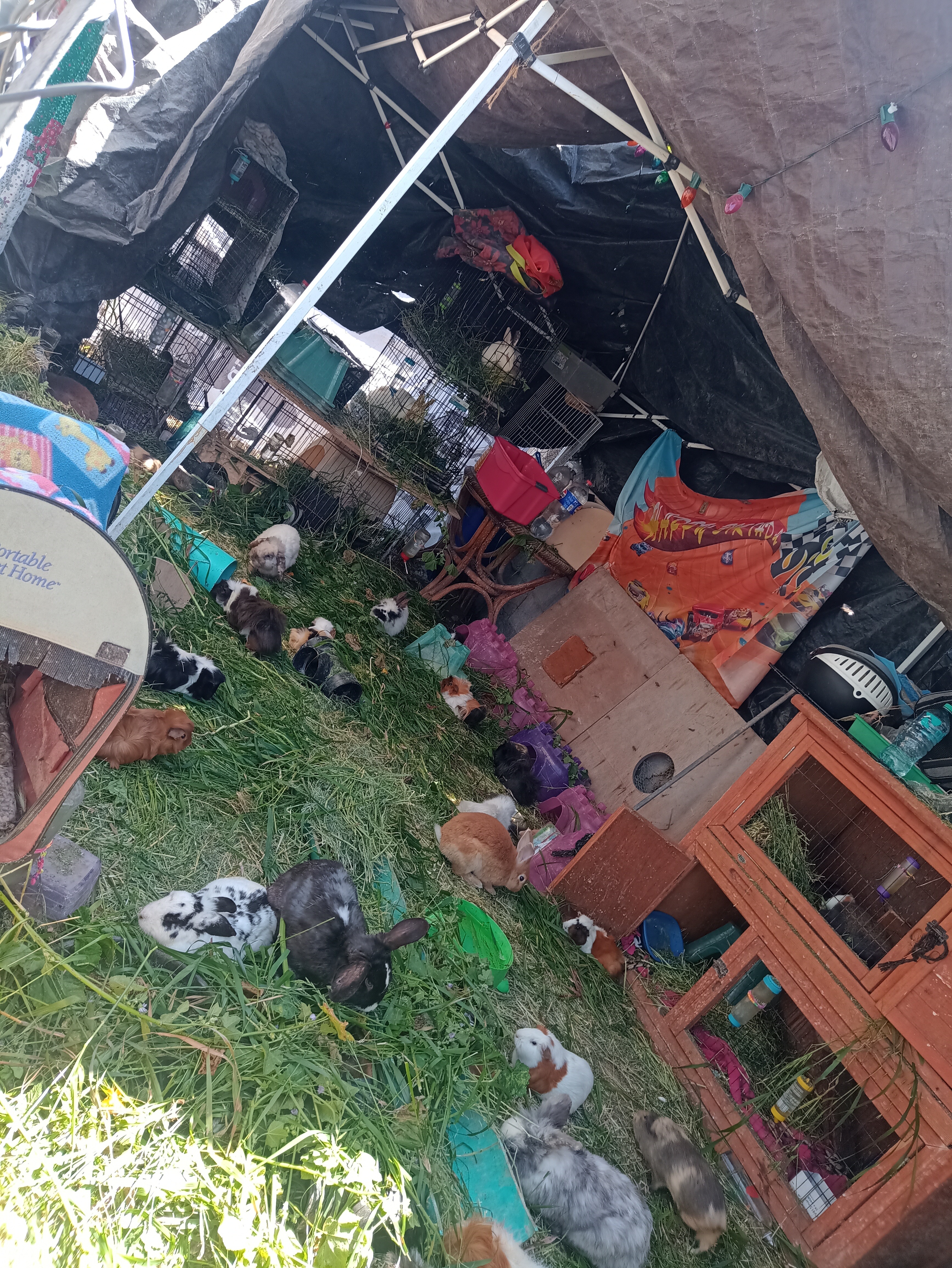 User-uploaded image 1