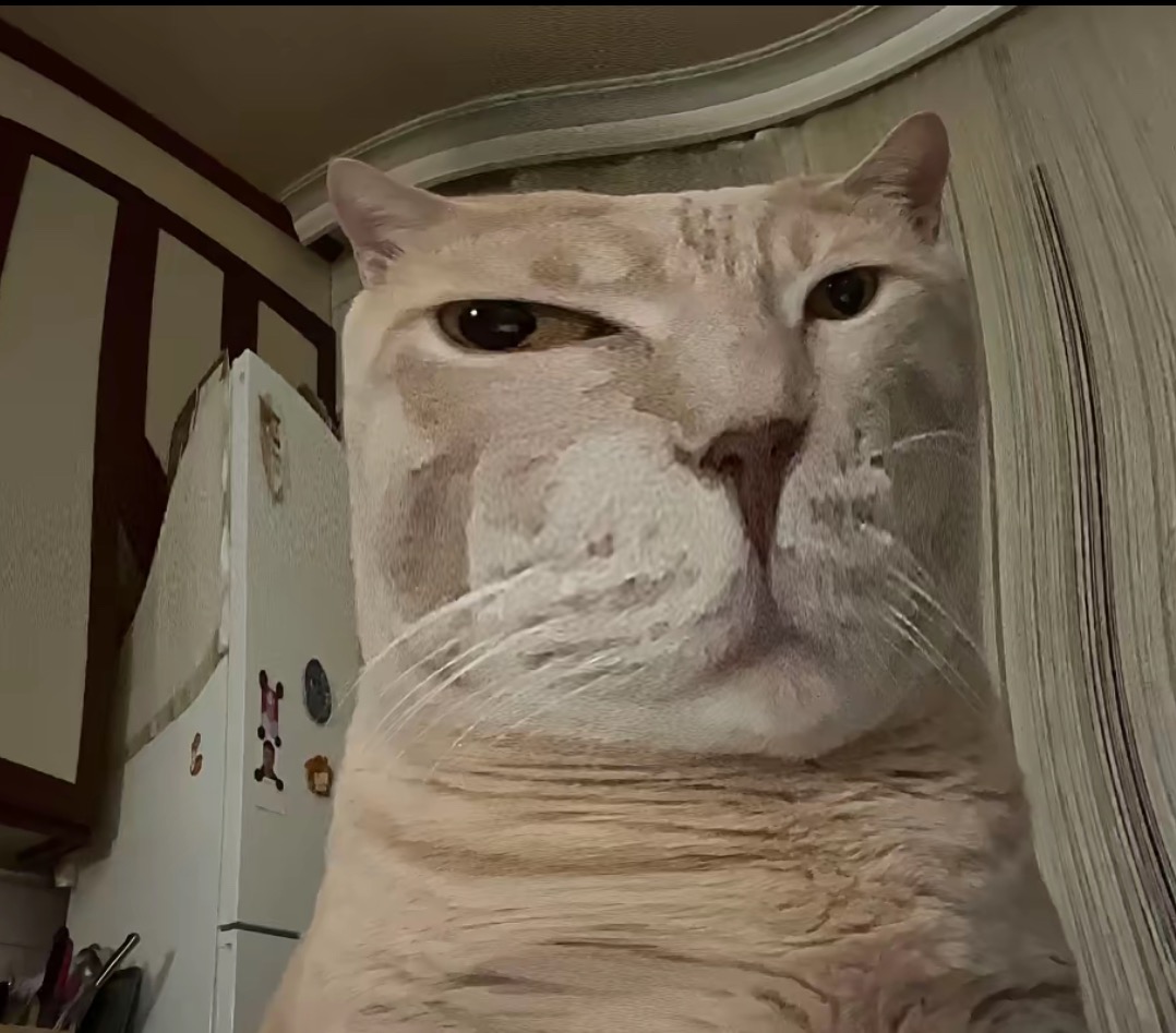 User-uploaded image 1