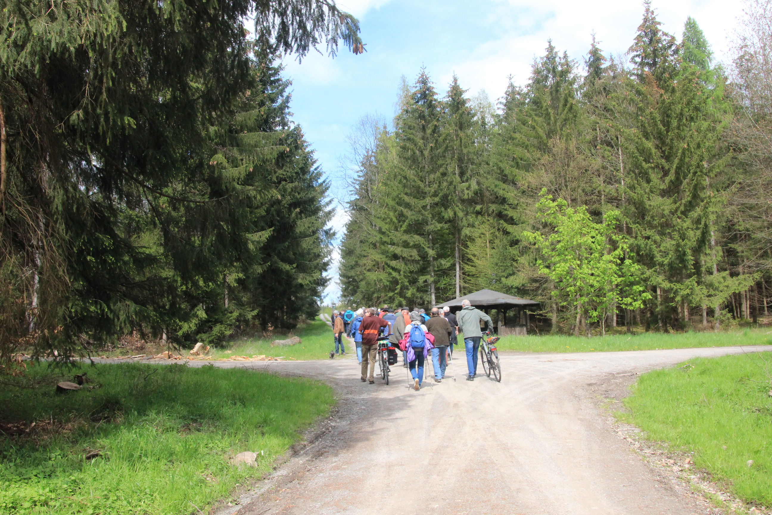 Hilfe! Lebensraum in Gefahr! Ein Wald für die Fledermäuse! campaign photo, 4 of 5