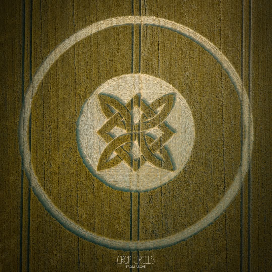 User-uploaded image 1