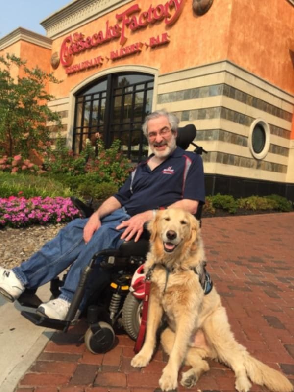 User-uploaded image 1