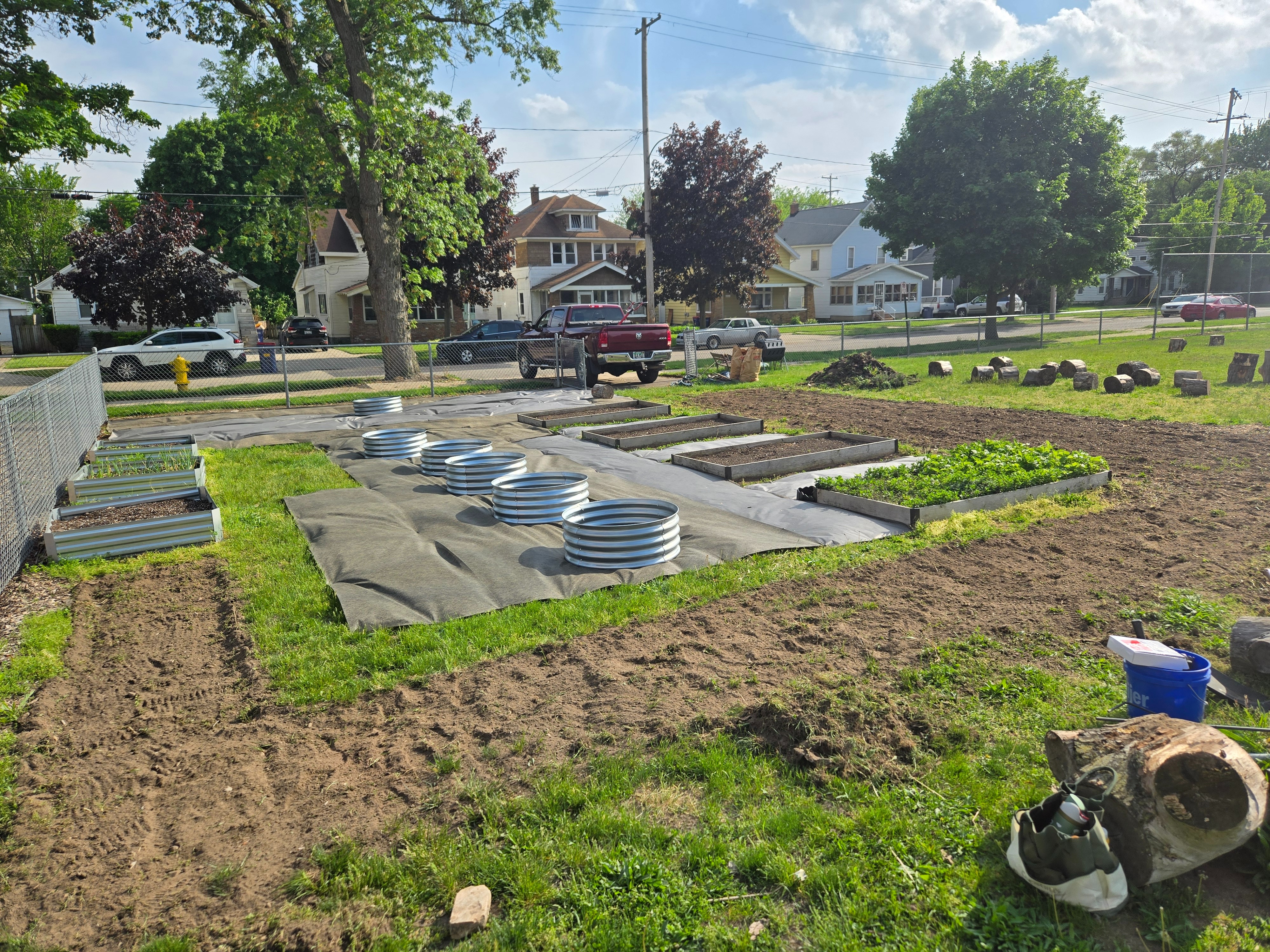 Revive Our School Garden – Growing Together Starts Here campaign photo, 2 of 4