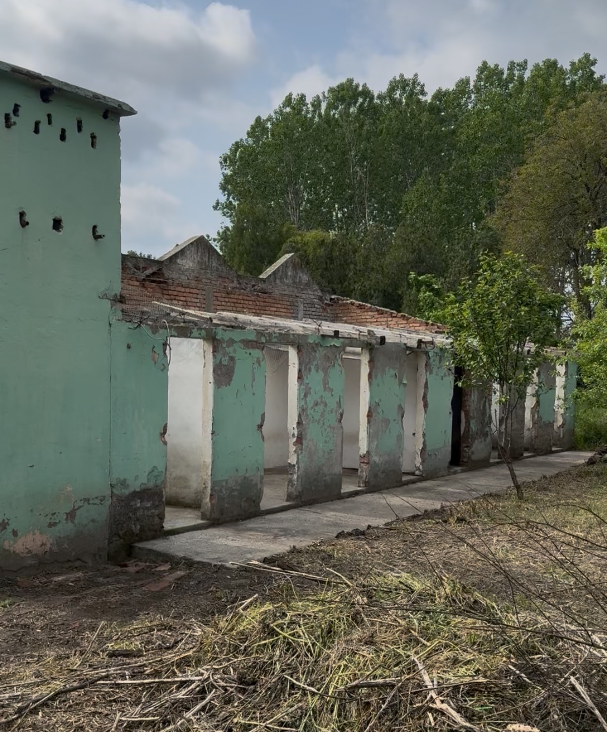 User-uploaded image 3