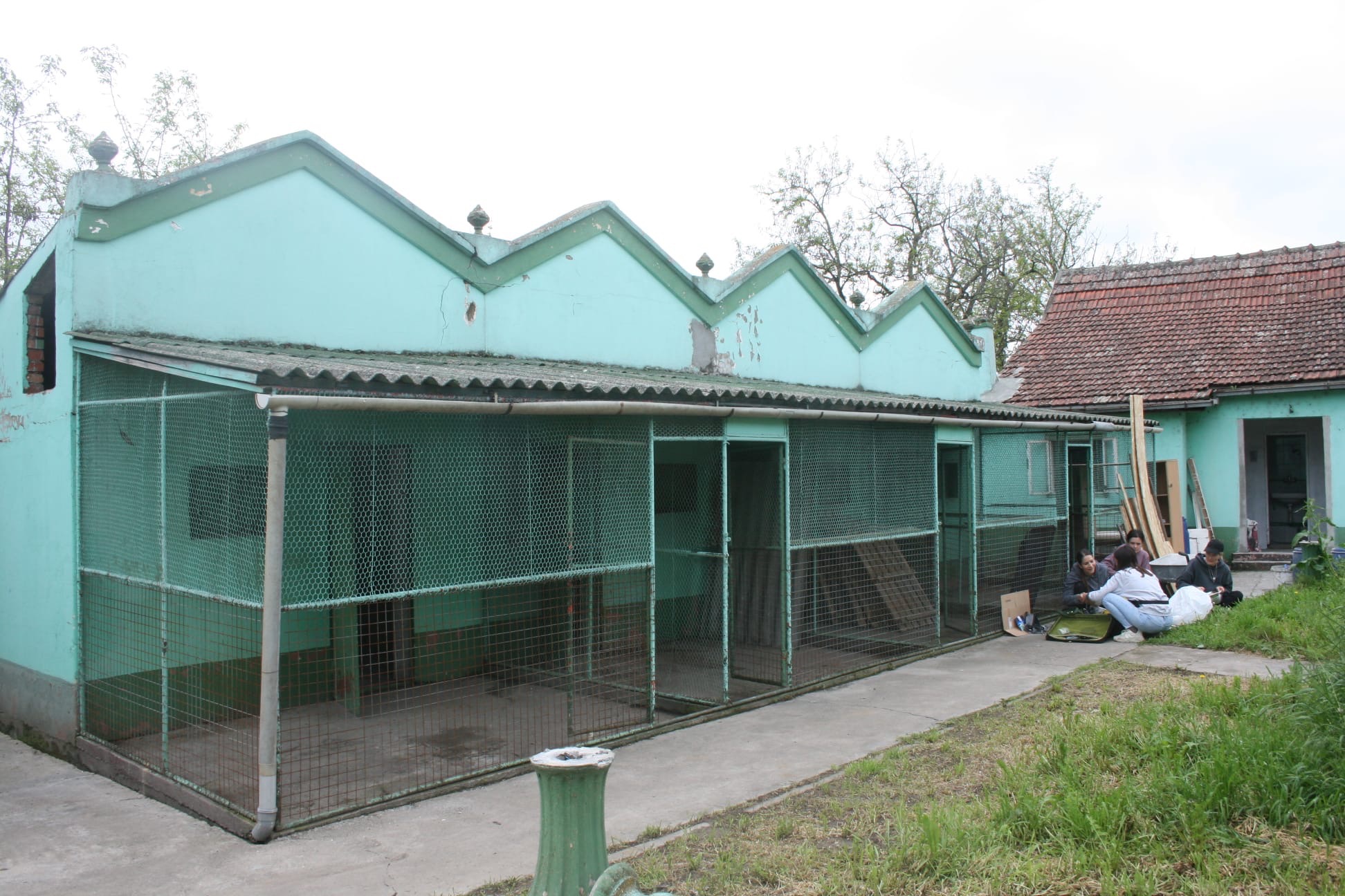 User-uploaded image 5