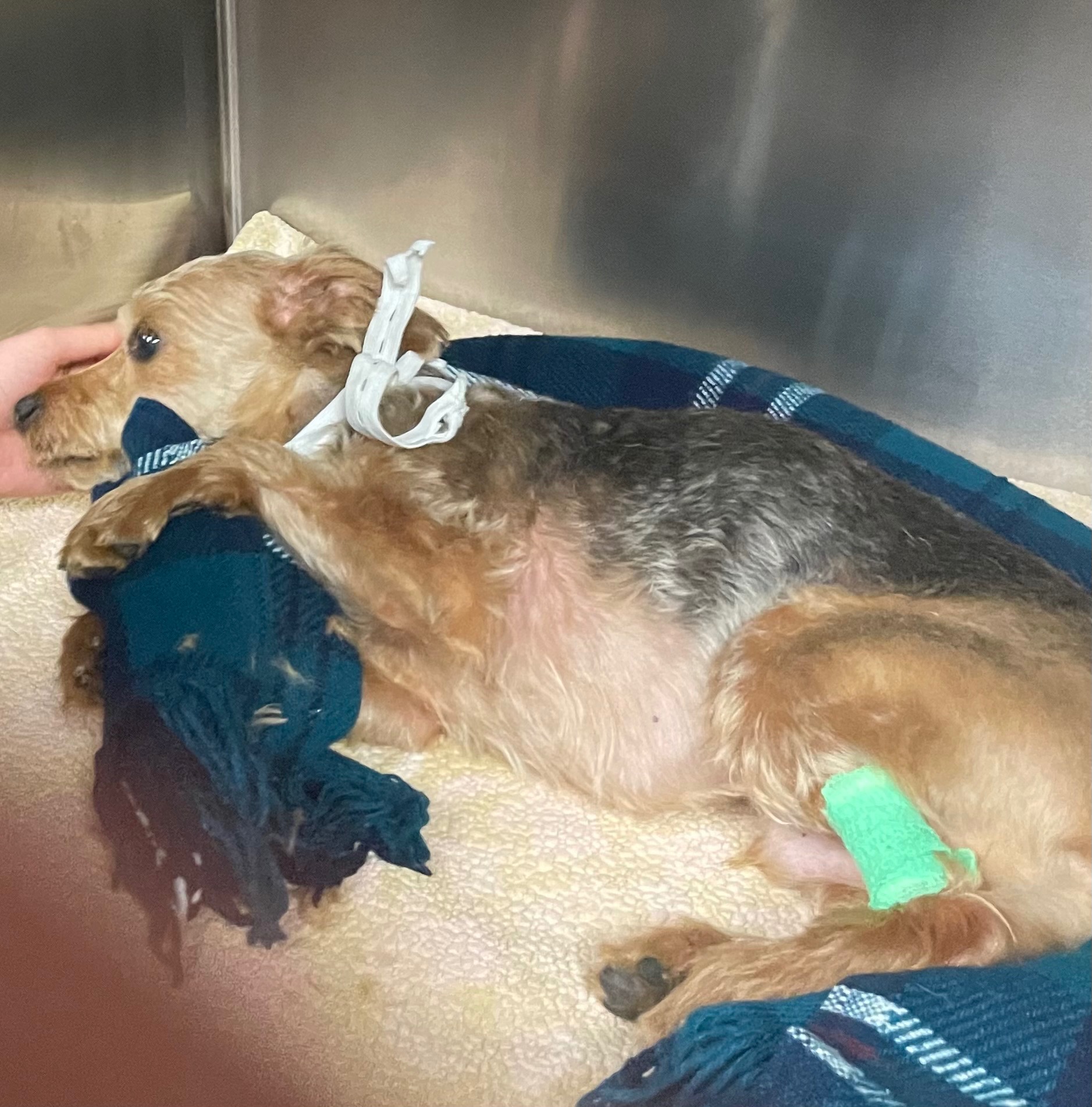 User-uploaded image 1