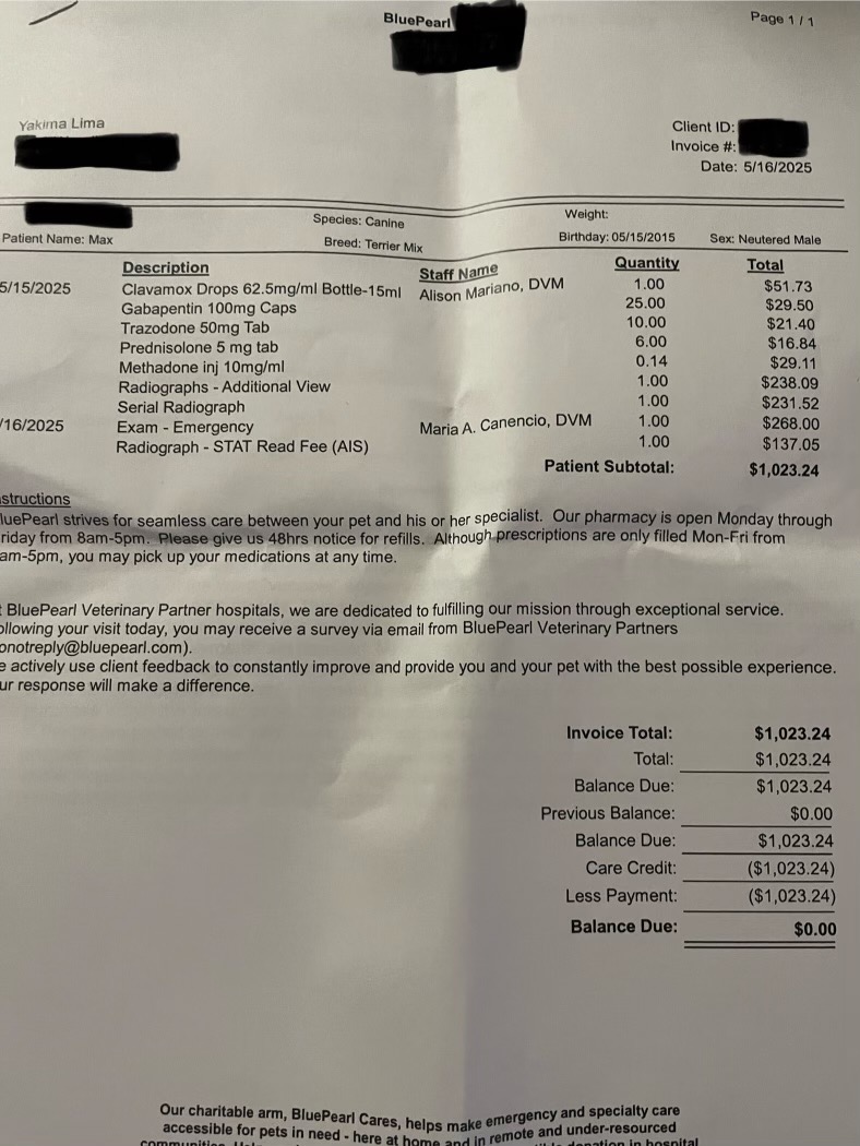 User-uploaded image 2