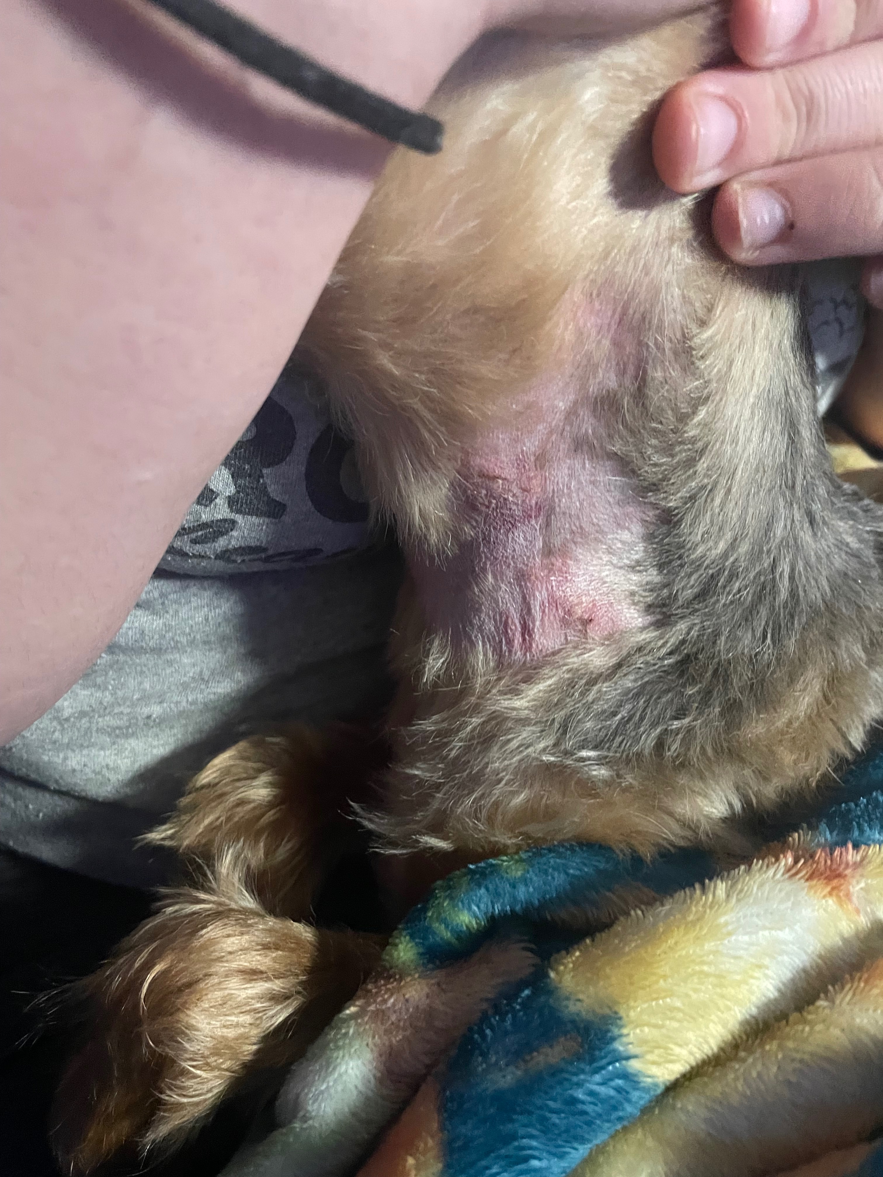 User-uploaded image 3