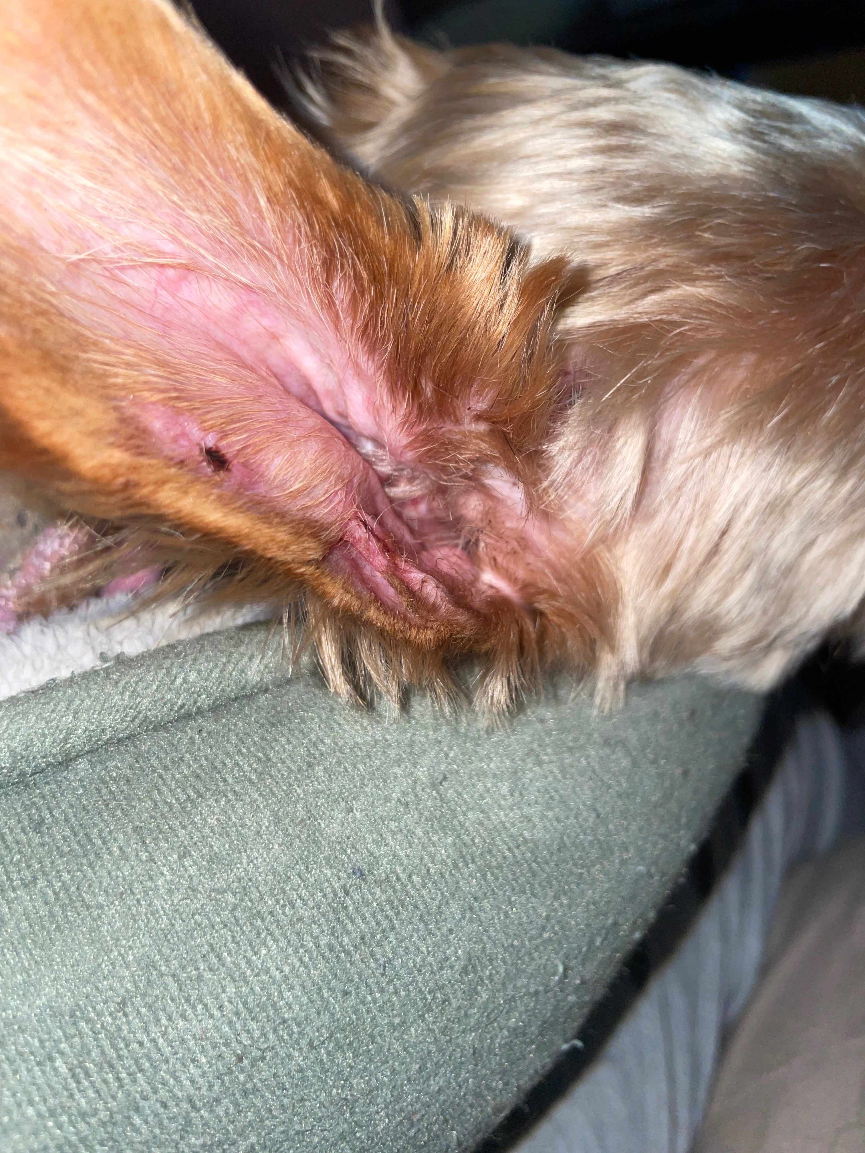 User-uploaded image 4