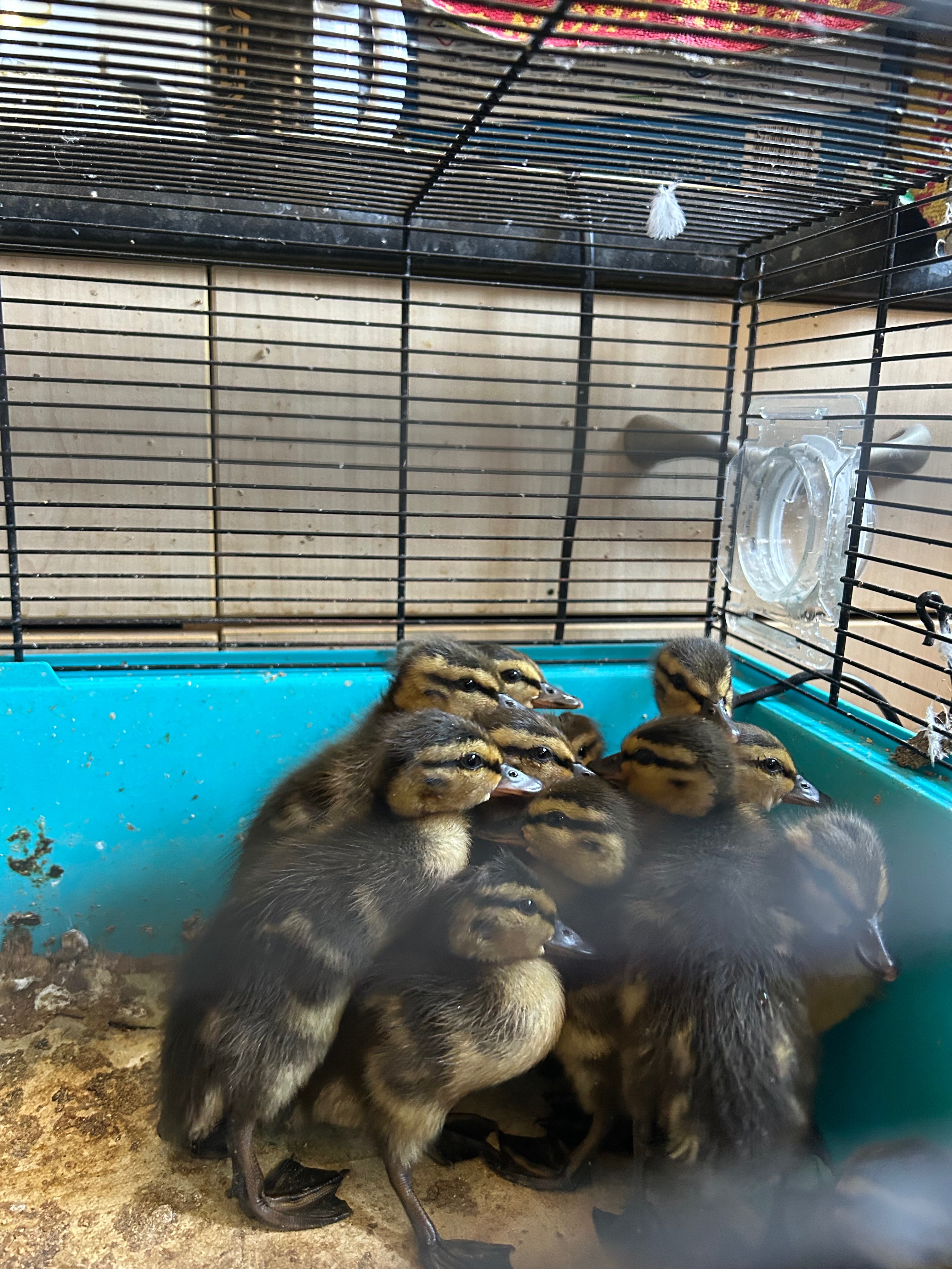 User-uploaded image 1