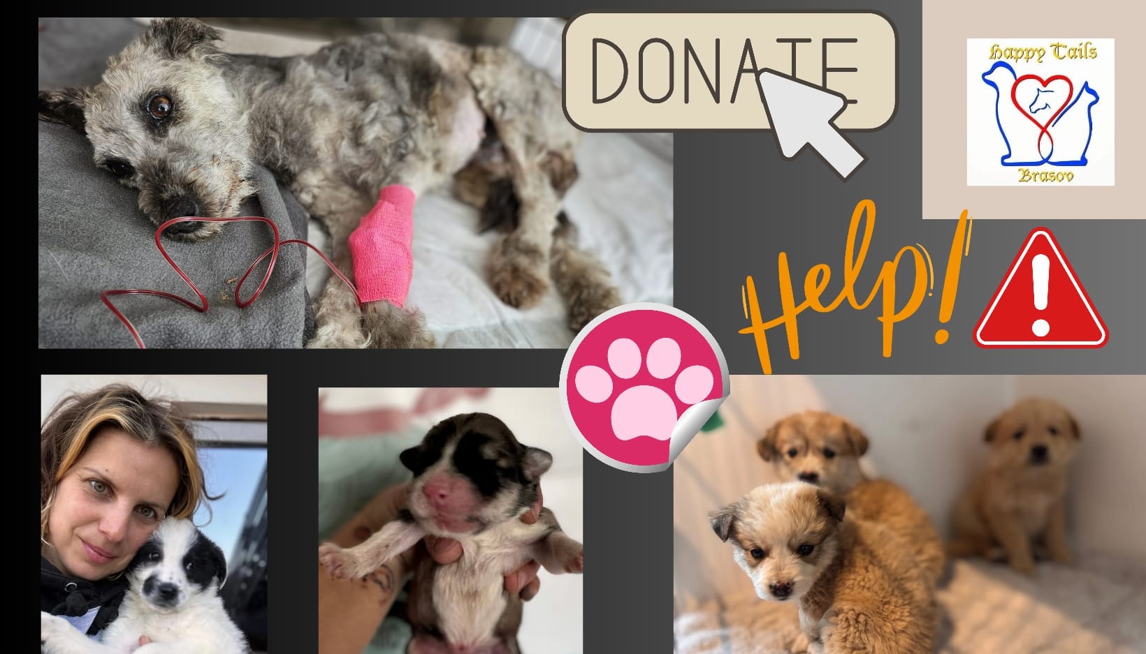 Vom Nutzer hochgeladenes Bild 1