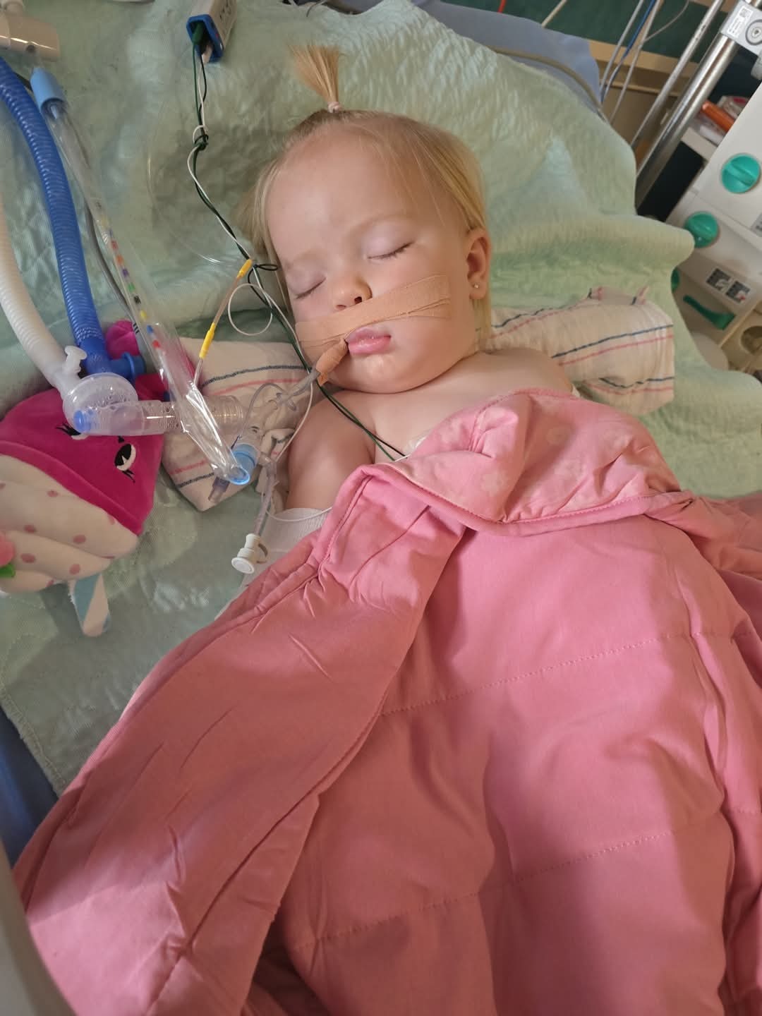 User-uploaded image 1