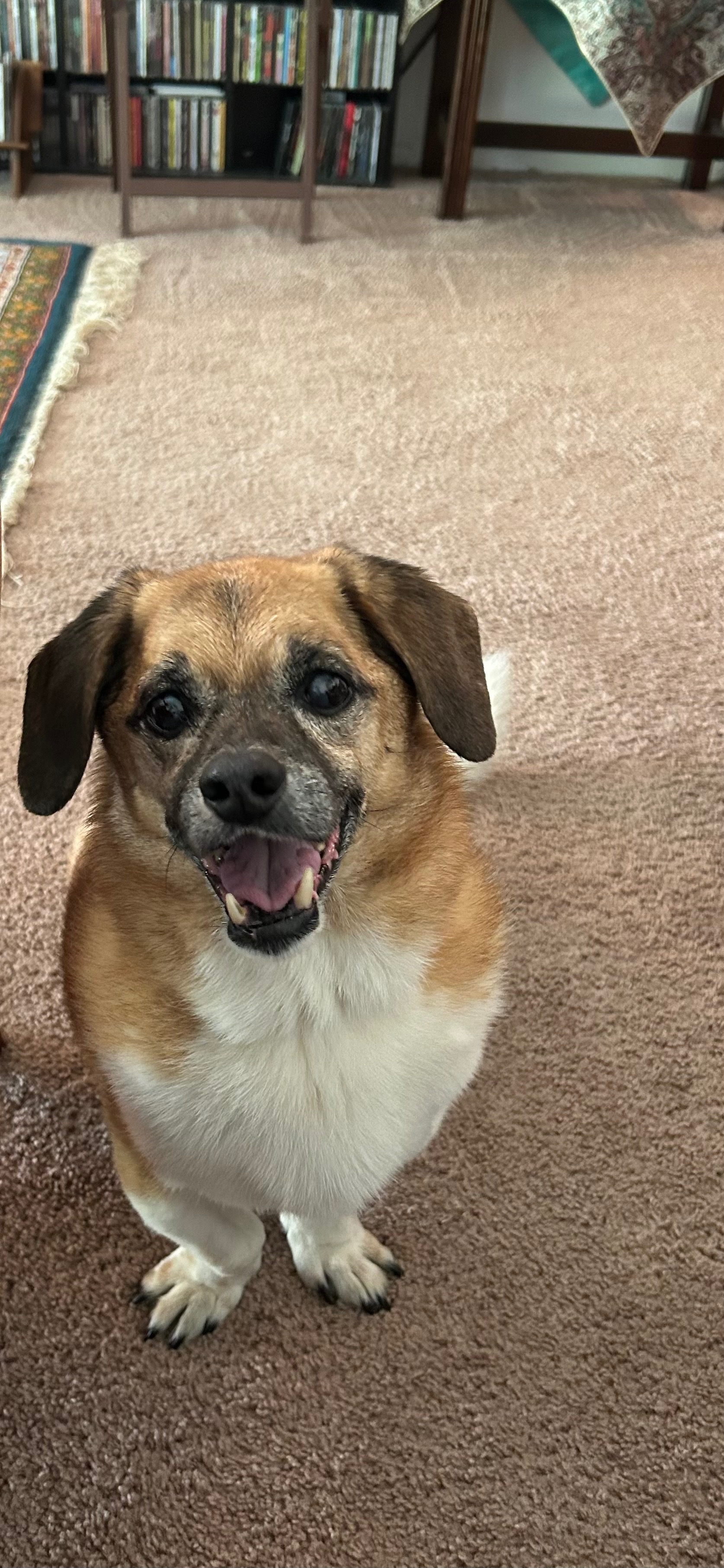 User-uploaded image 1