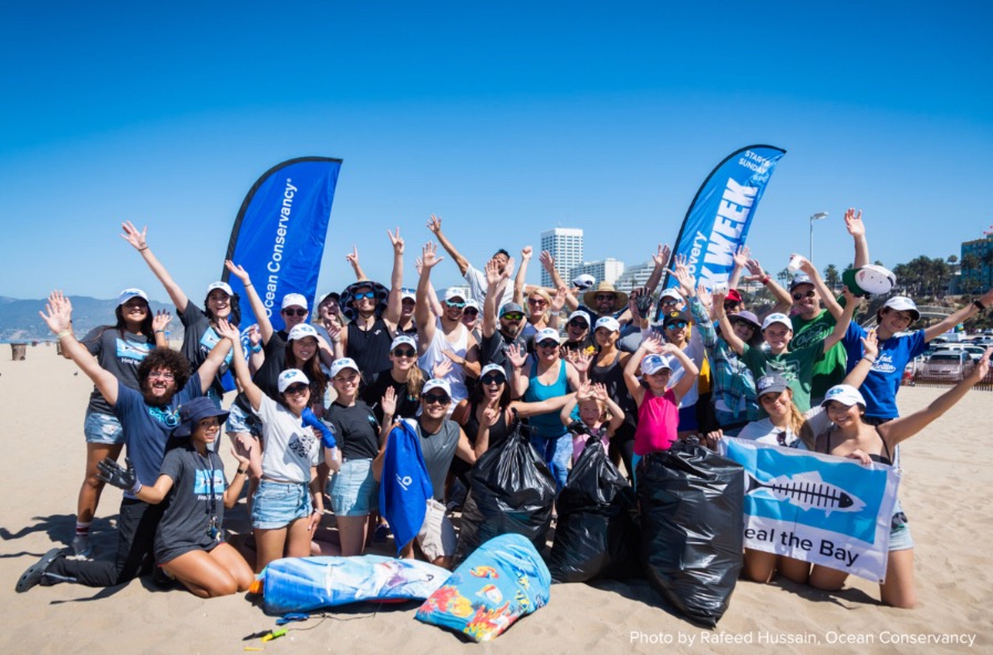 User-uploaded image 1