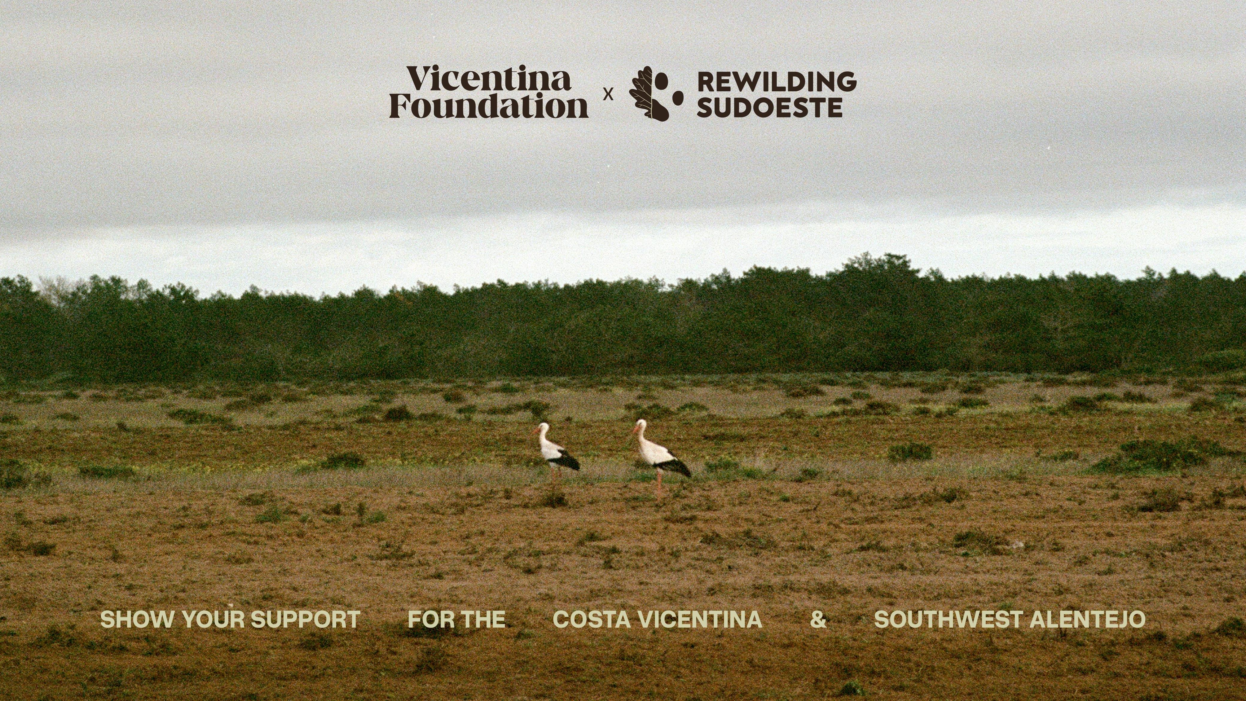 User-uploaded image 1