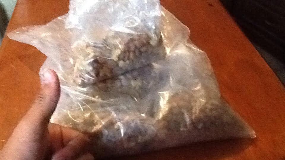 Alimento para los perritos de la calle photo