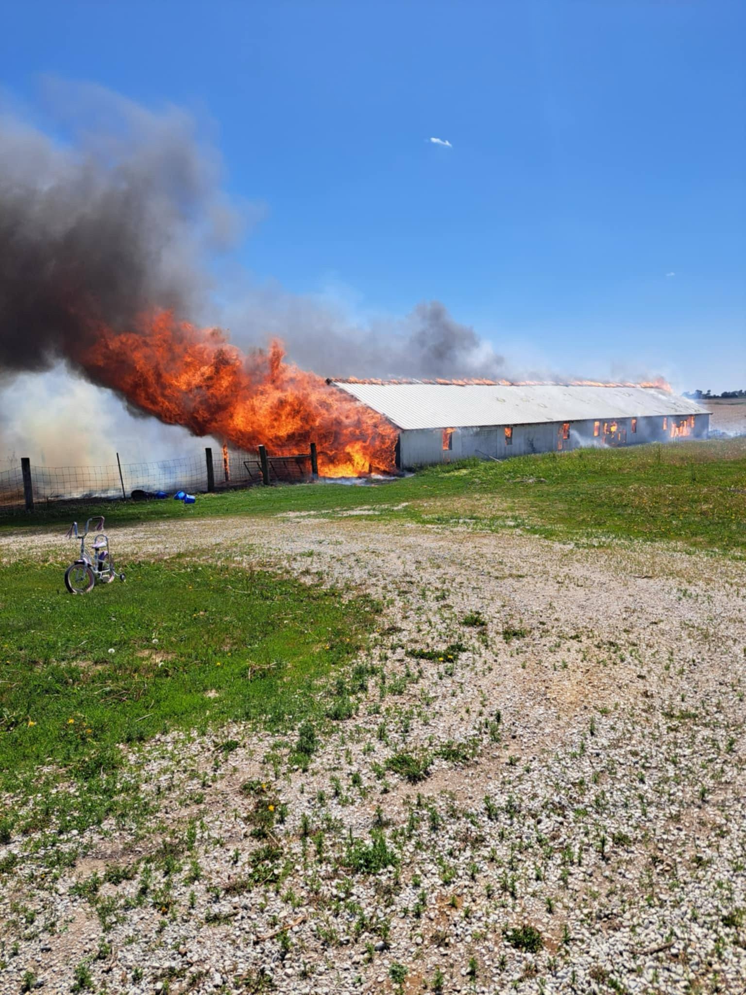 Help Heath's Family Rebuild Their Sheep Barn campaign photo, 4 of 5