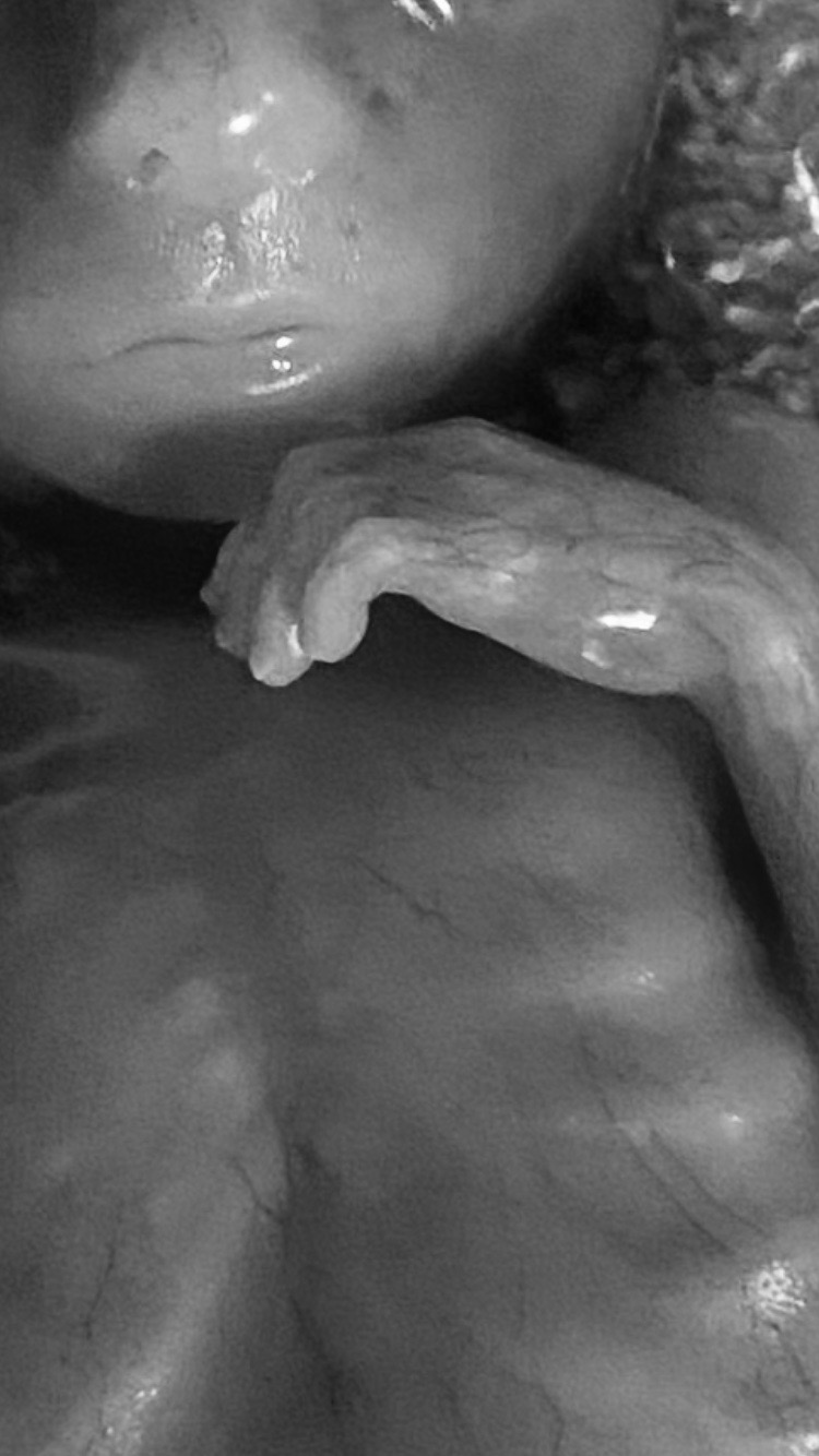 User-uploaded image 1