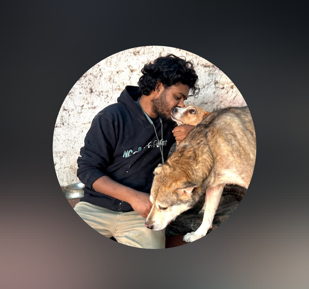 Help Shahrukh Feed & Care for 50 plus Rescued Dogs campaign photo, 2 of 4