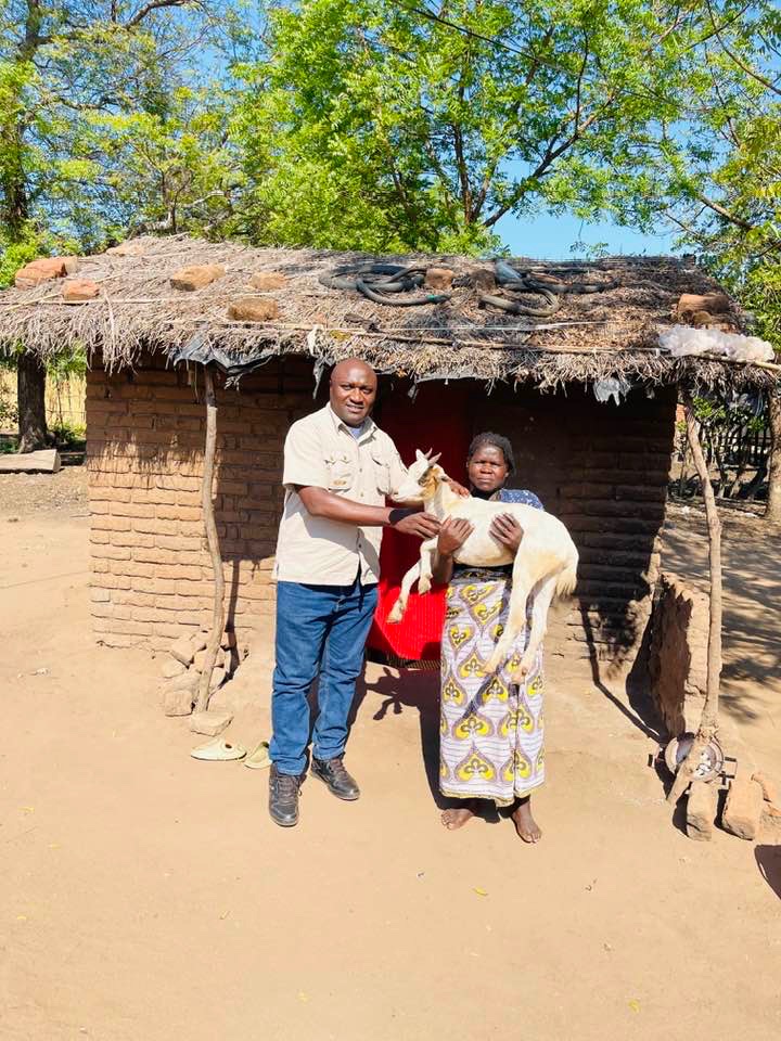Goats for Widows: Alleviating Hunger & Inequality in Malawi campaign photo, 4 of 8