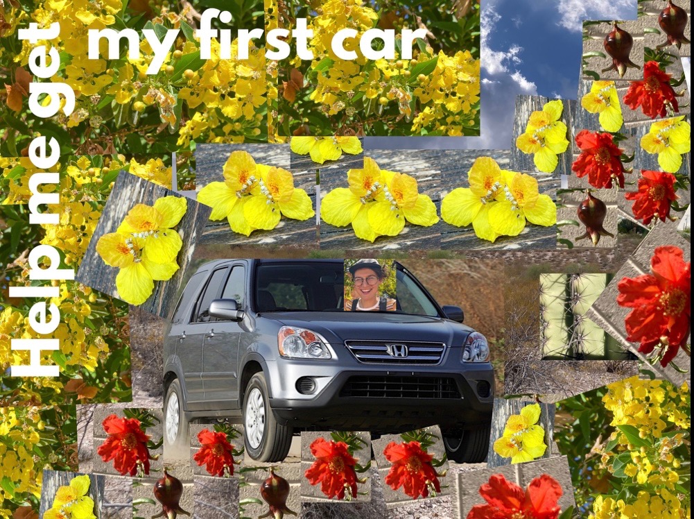 I need a car and your help! campaign photo, 2 of 3