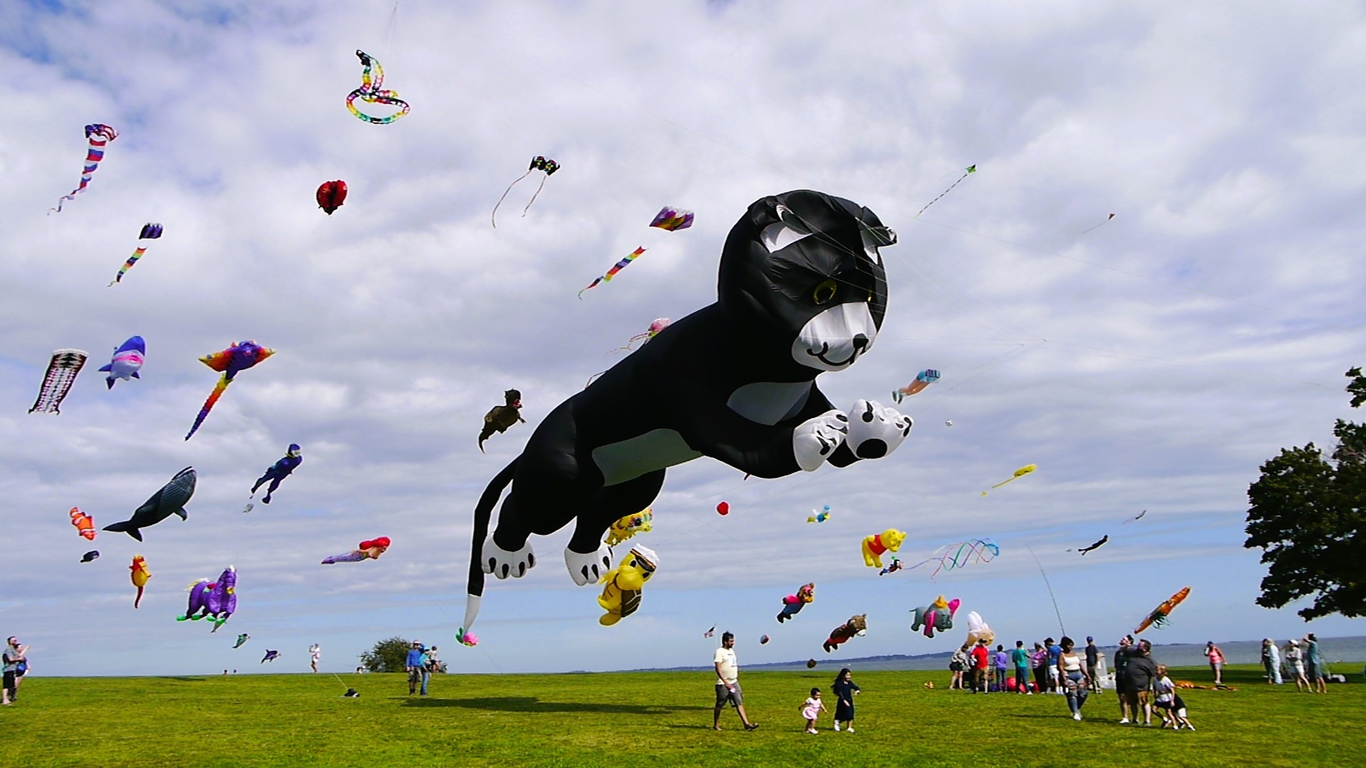 User-uploaded image 1