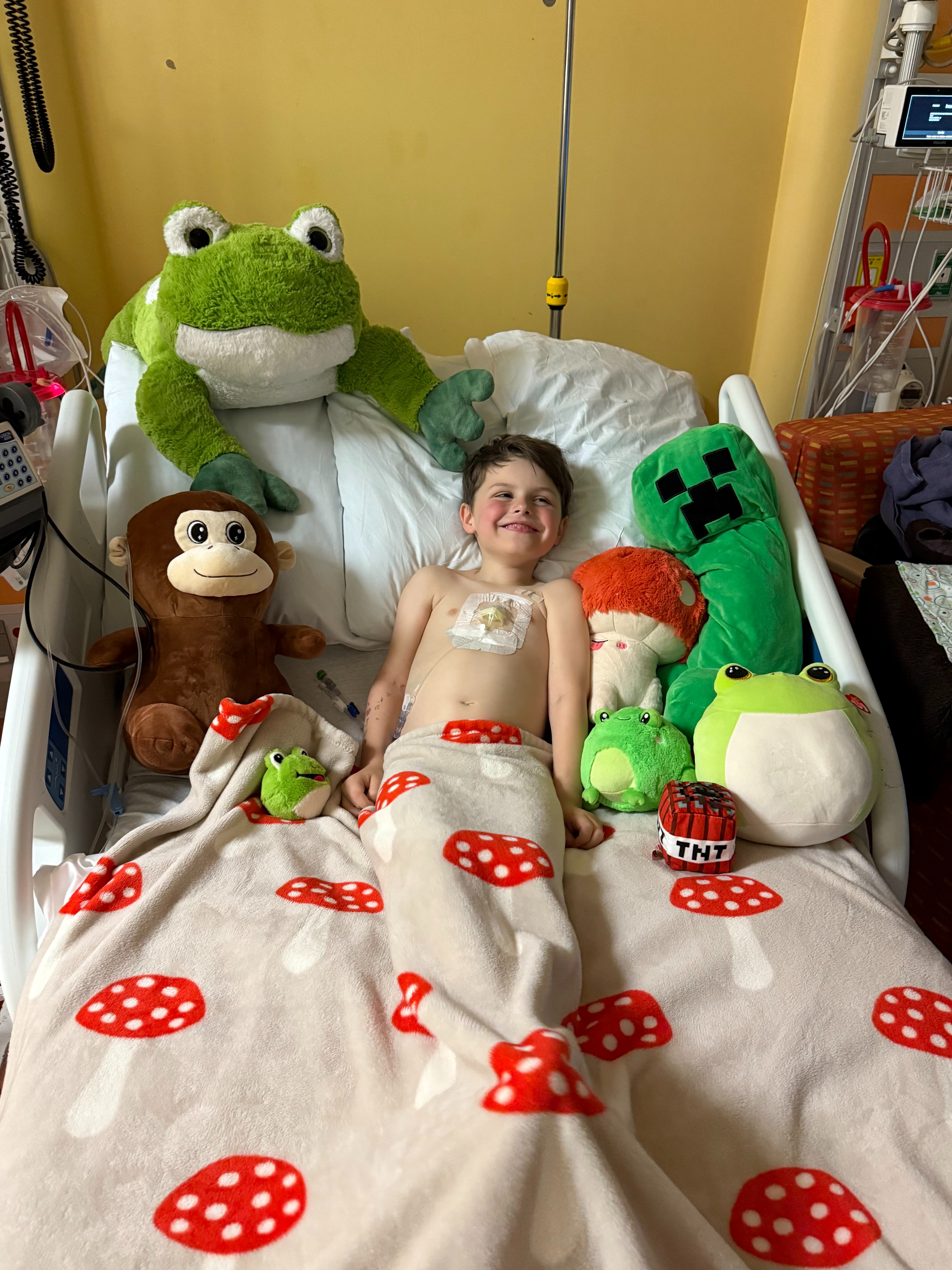 Support Breckyn's Fight Against Leukemia campaign photo, 2 of 4