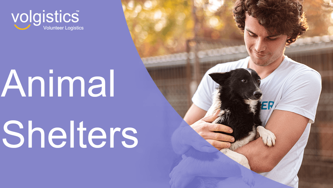 Help out Pennies for Paws! We help all animals! photo