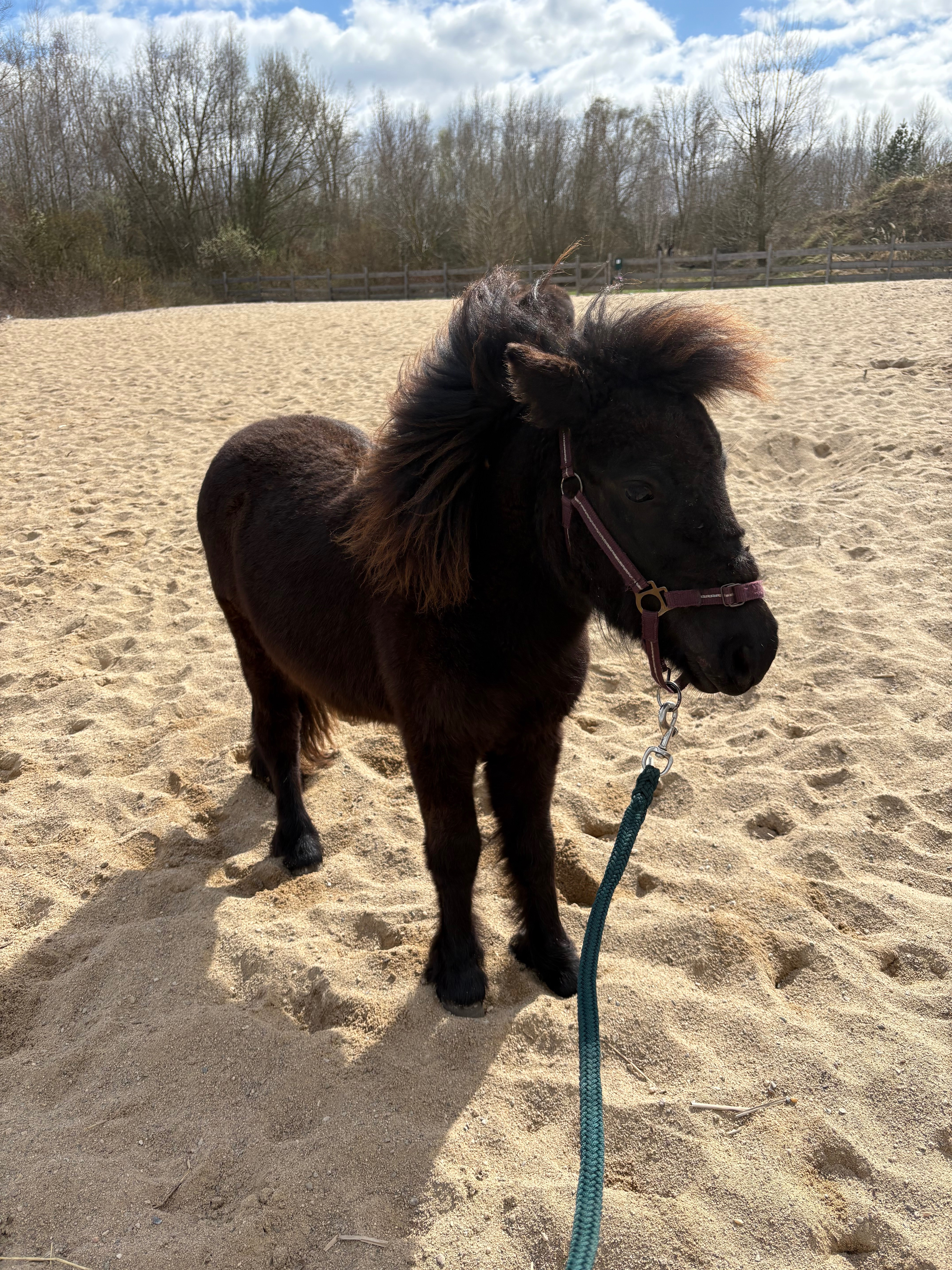 Vom Nutzer hochgeladenes Bild 3