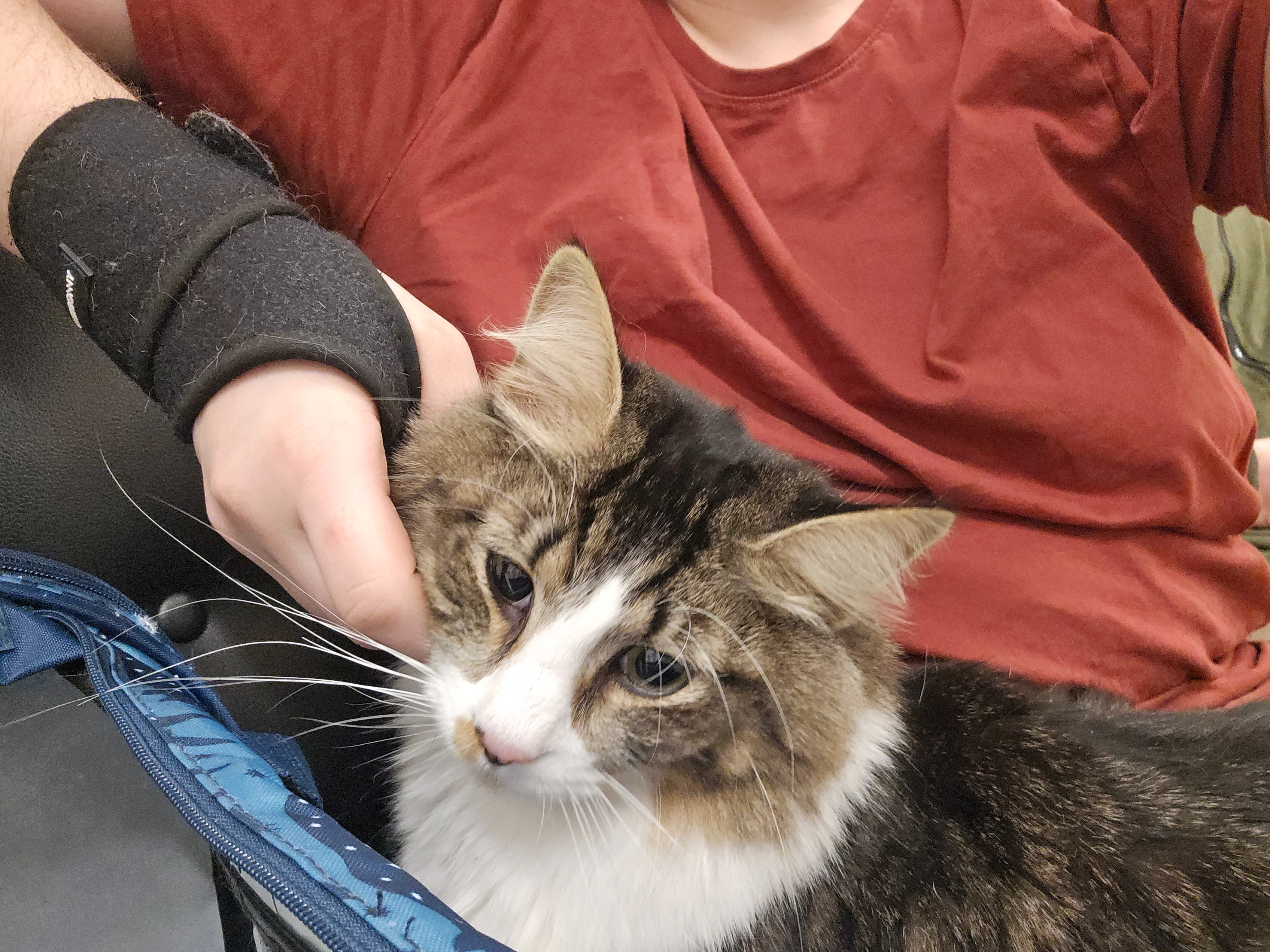 User-uploaded image 1