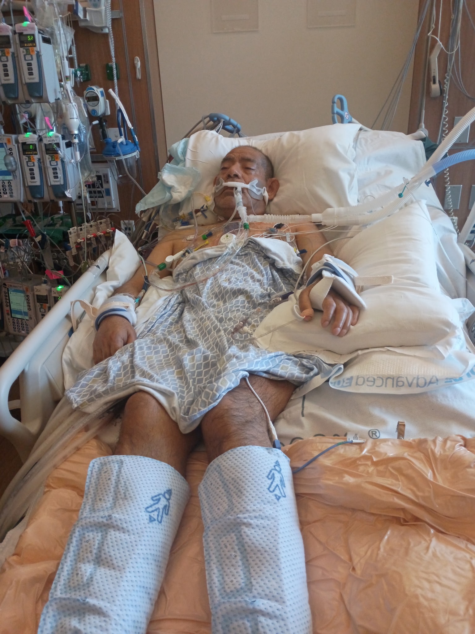 User-uploaded image 2