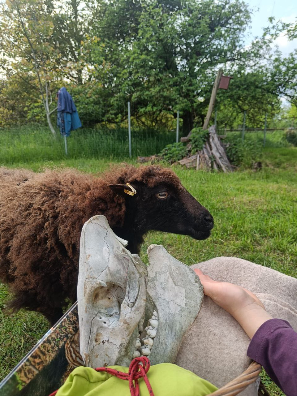 User-uploaded image 1