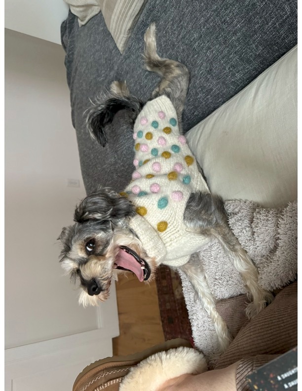 Help Daisy Walk Again After Accident campaign photo, 4 of 6