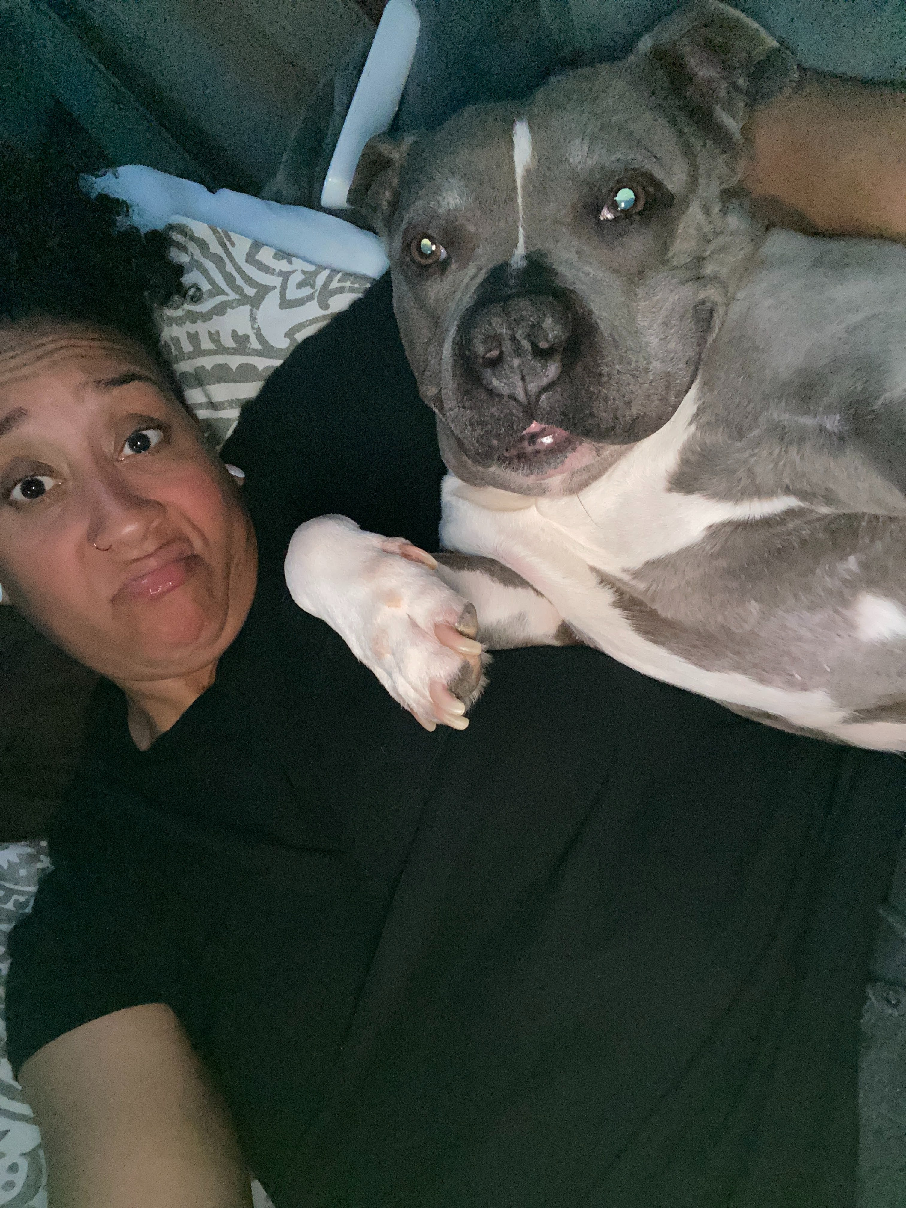 Help Horus Overcome His Splenic Tumor campaign photo, 4 of 8