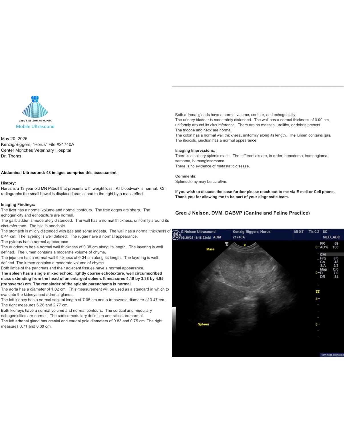 Help Horus Overcome His Splenic Tumor campaign photo, 6 of 8