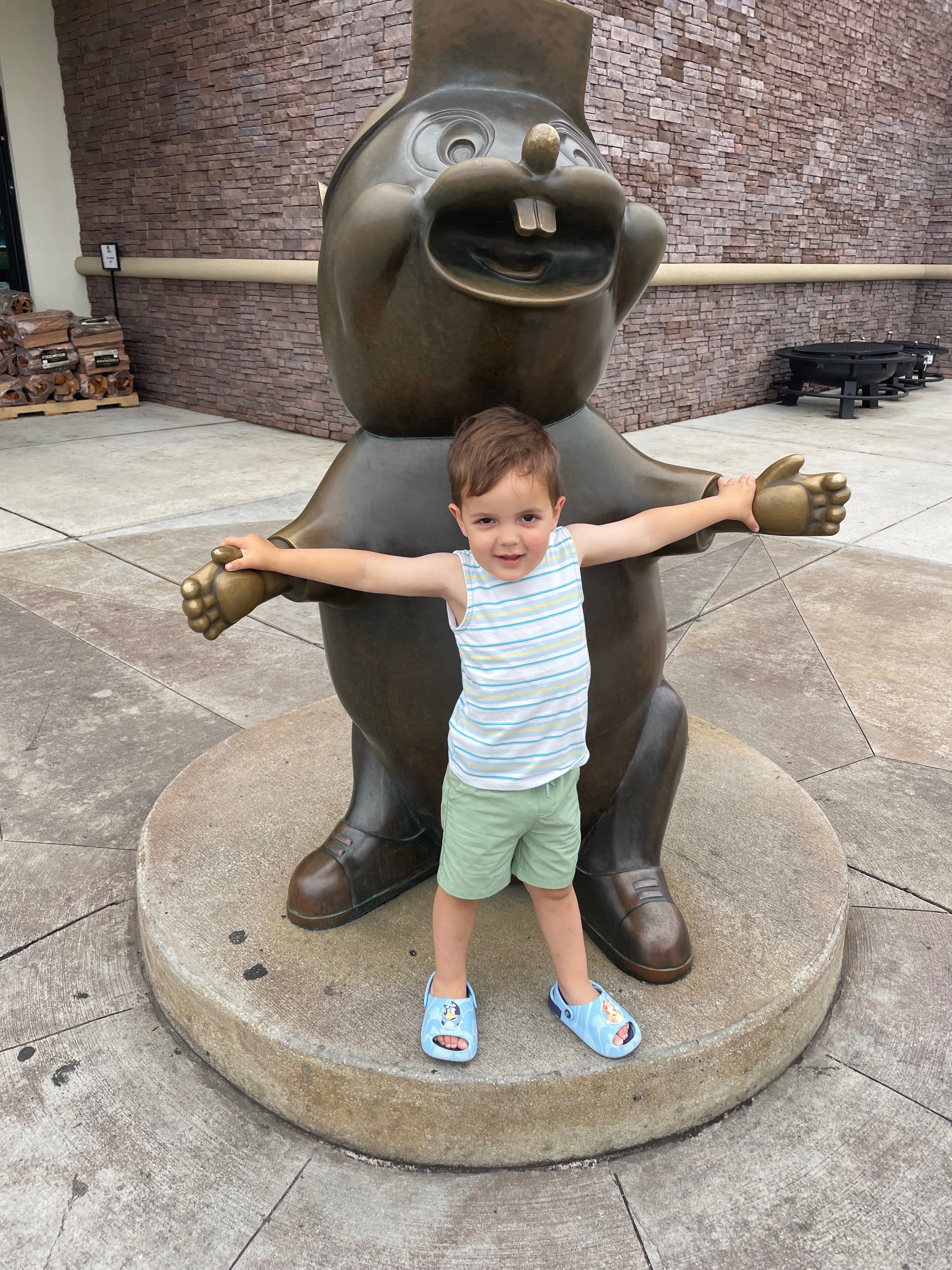 User-uploaded image 1