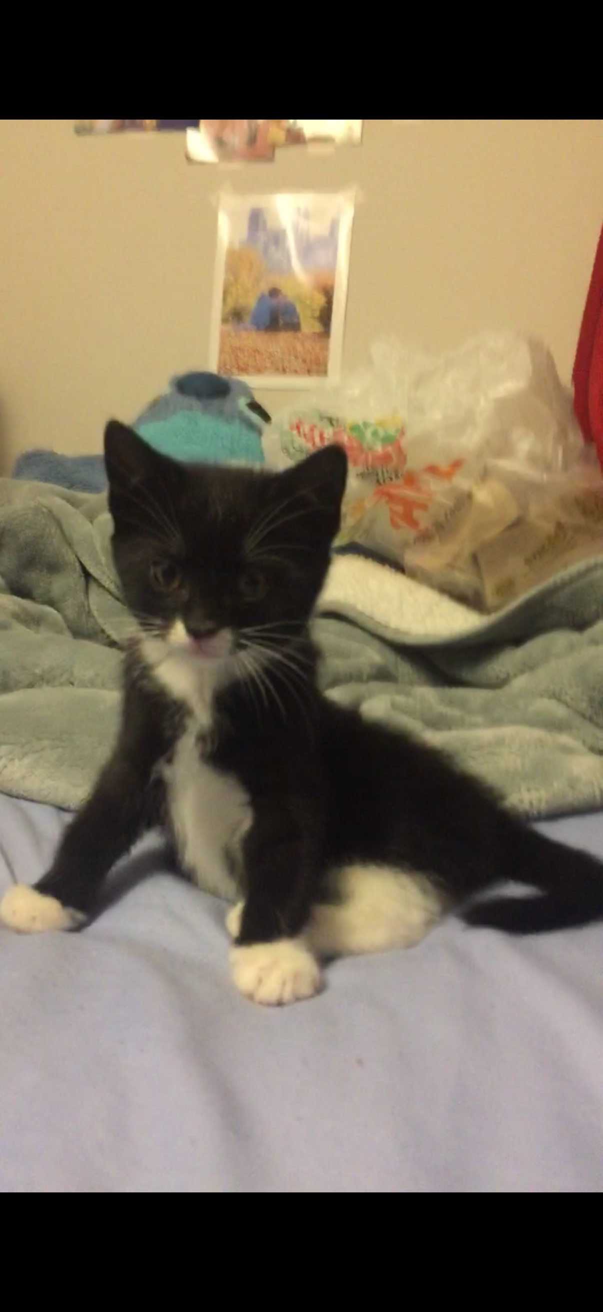 Help Save Sweet Delilah campaign photo, 5 of 7